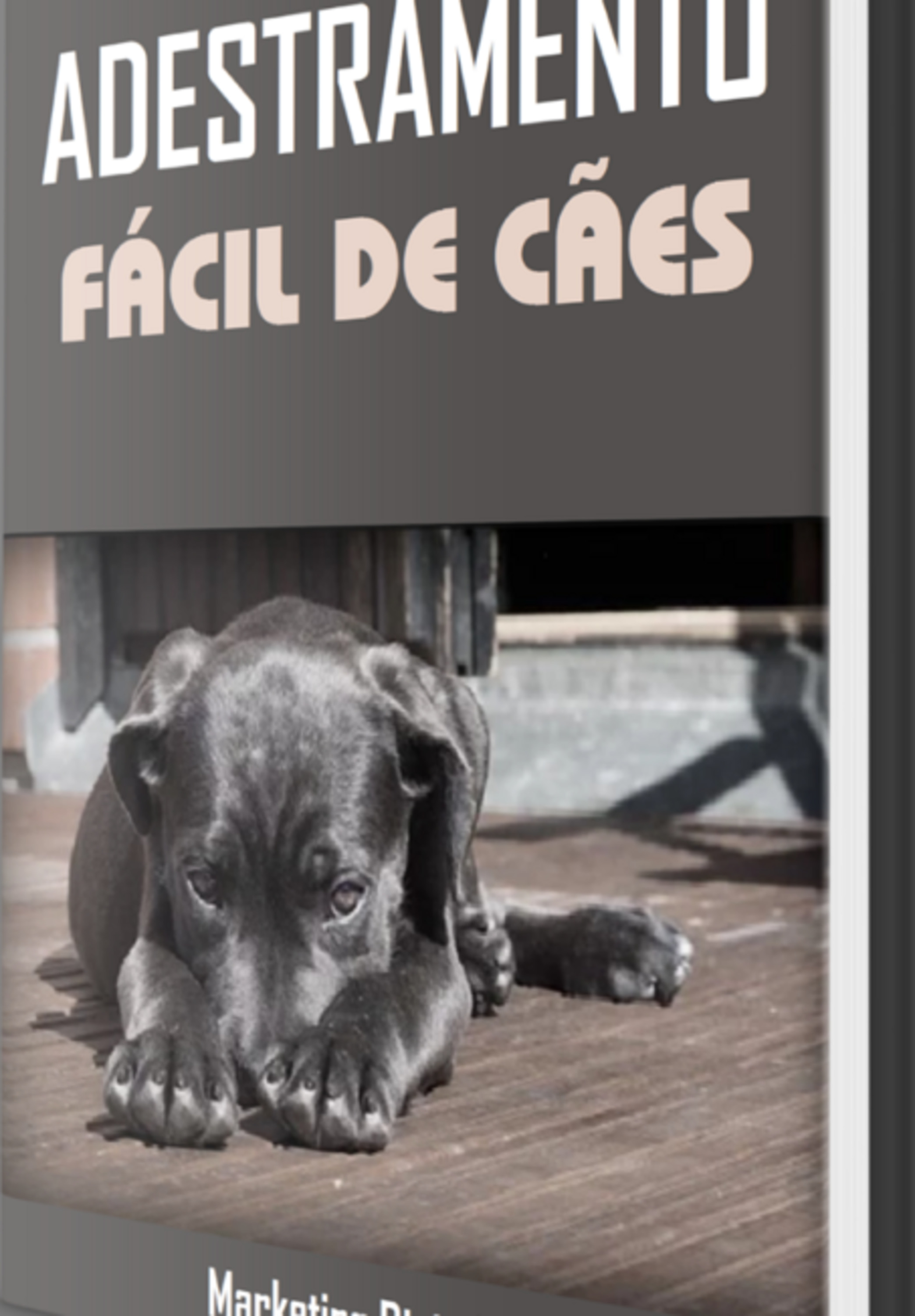 Adestramento Fácil De Cães