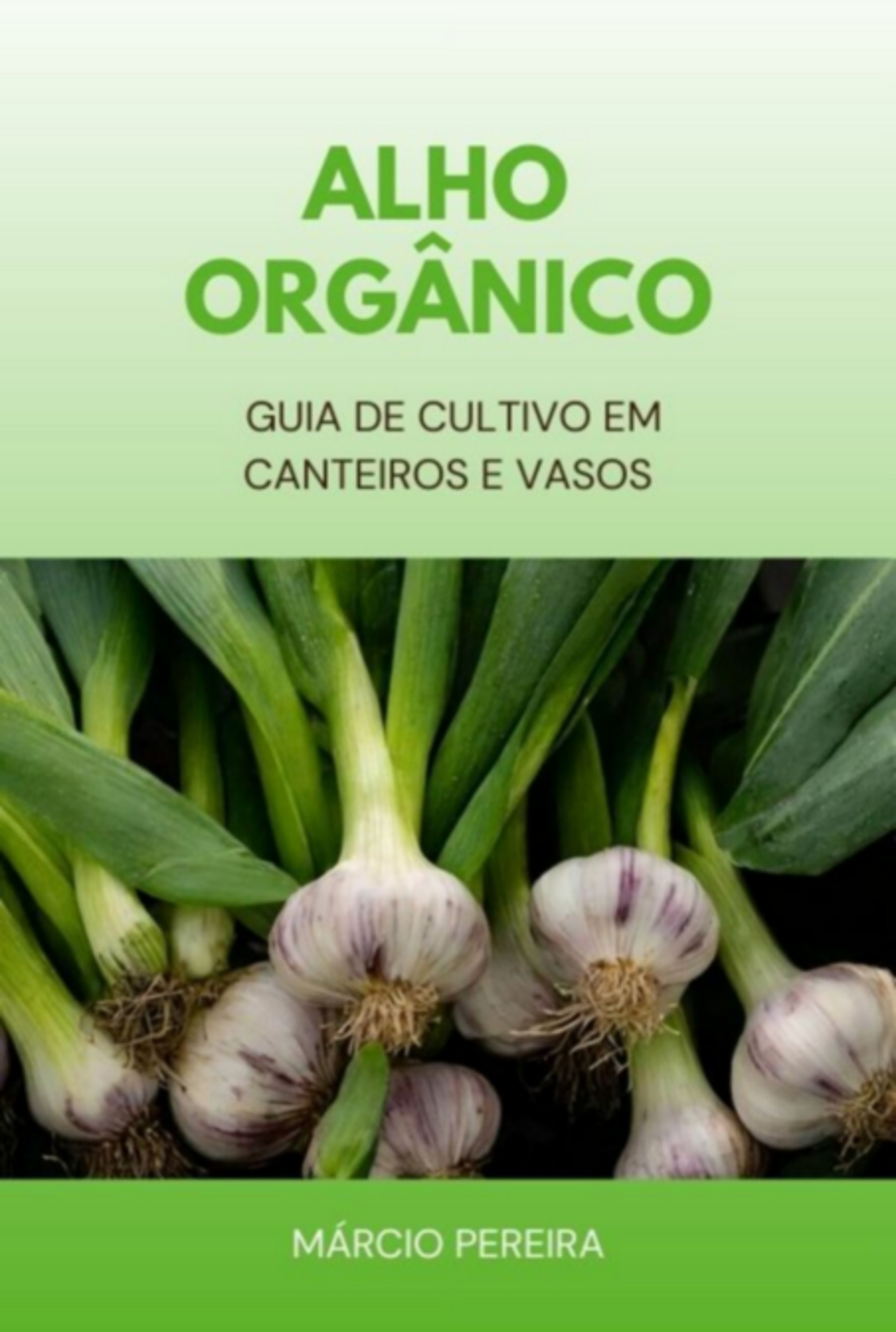 Alho Orgânico