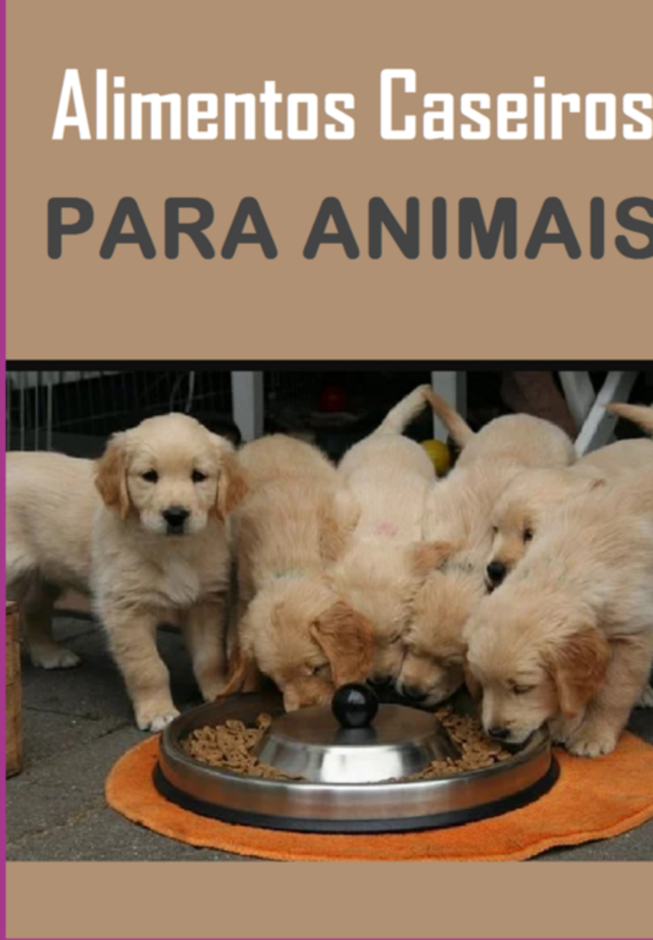 Alimentos Caseiros Para Animais