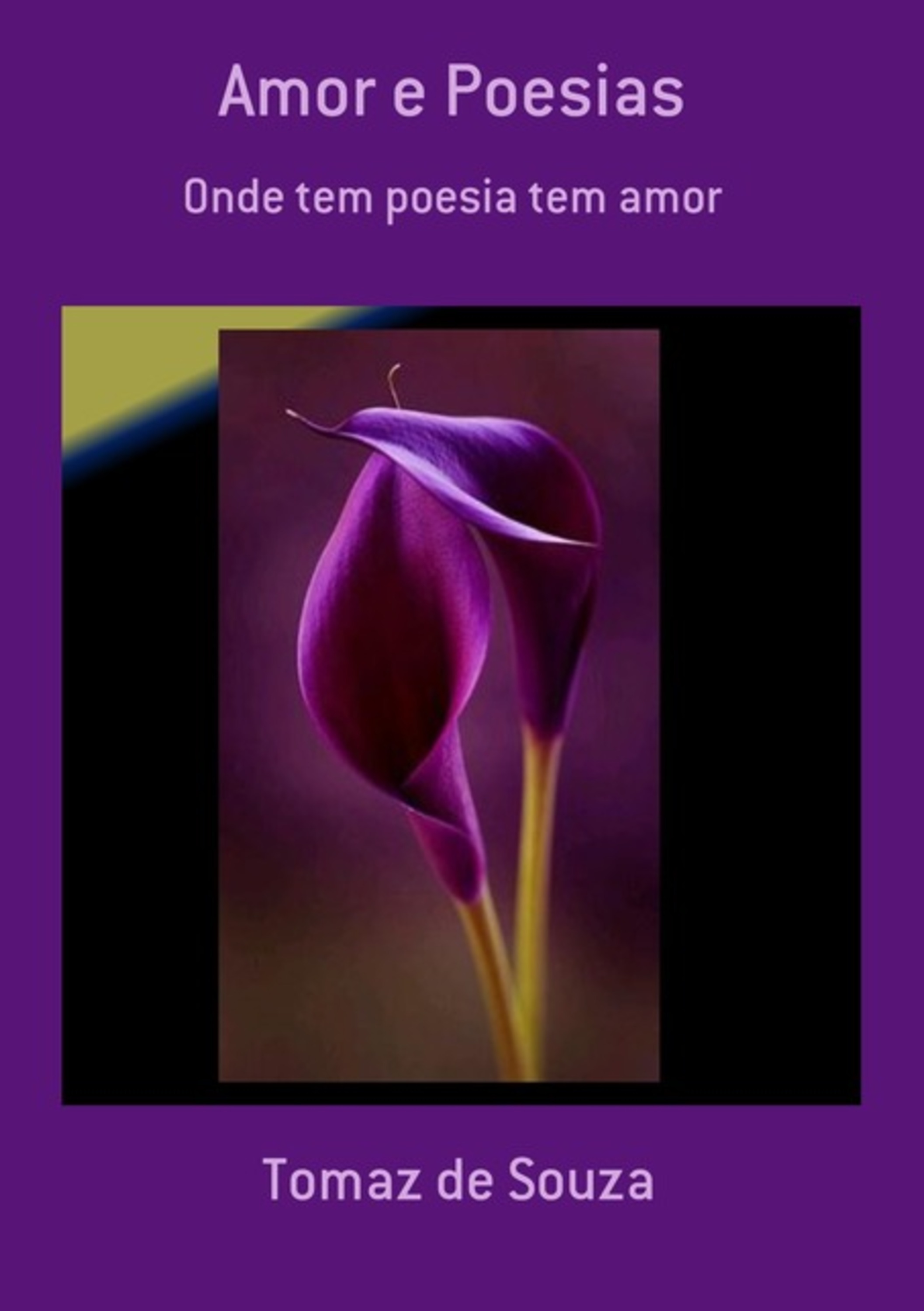 Amor E Poesias