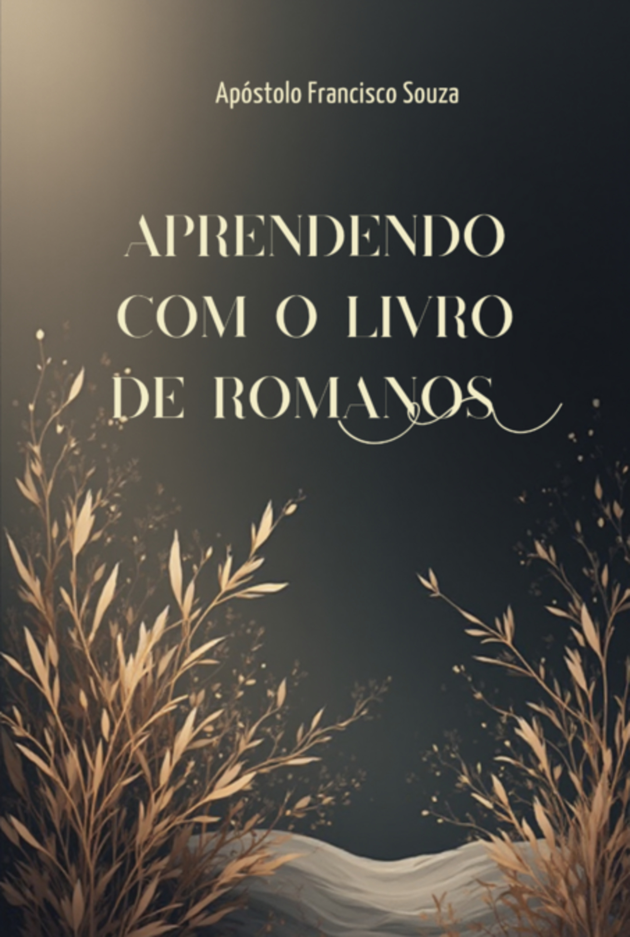 Aprendendo Com O Livro De Romanos