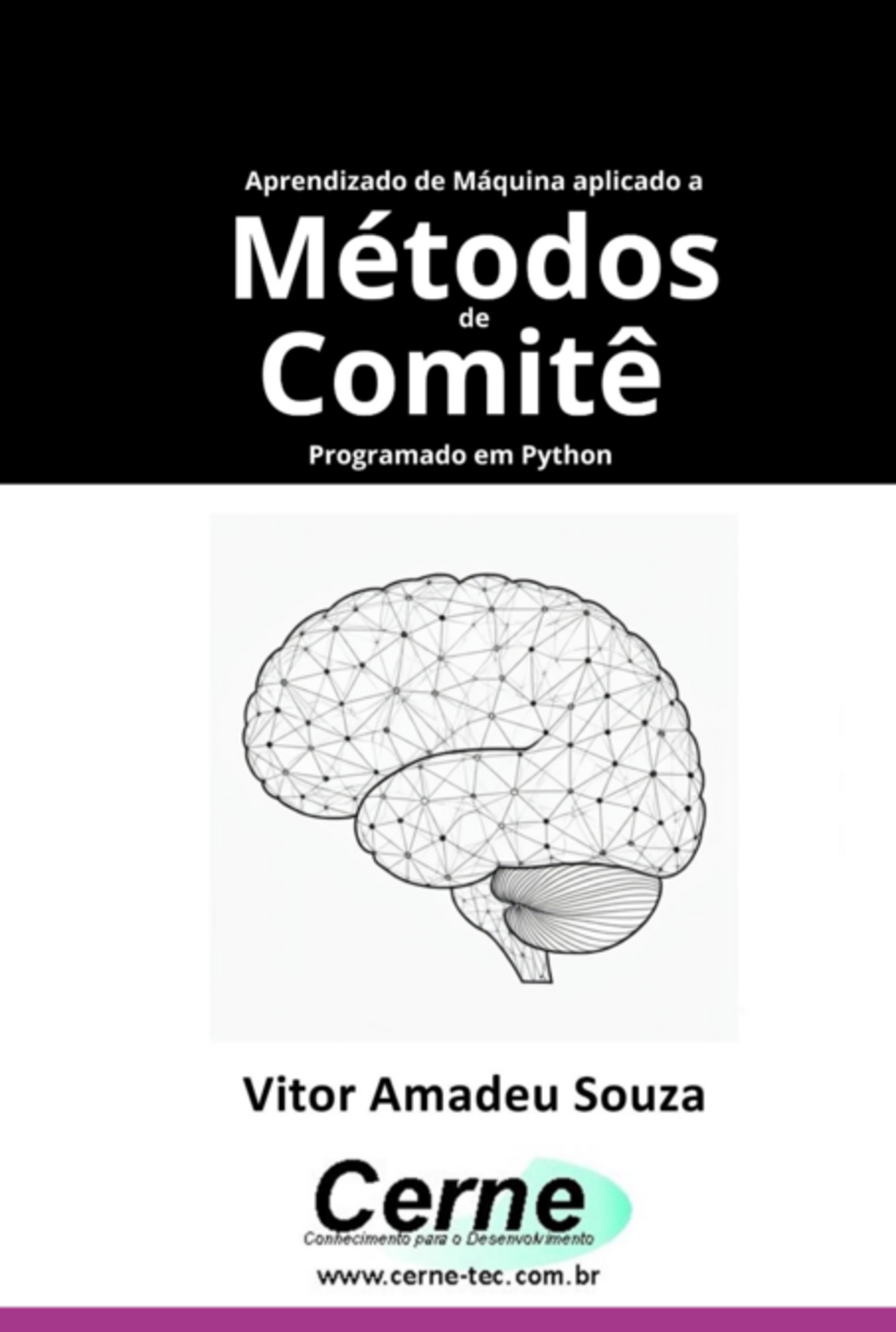 Aprendizado De Máquina Aplicado A Métodos De Comitê Programado Em Python