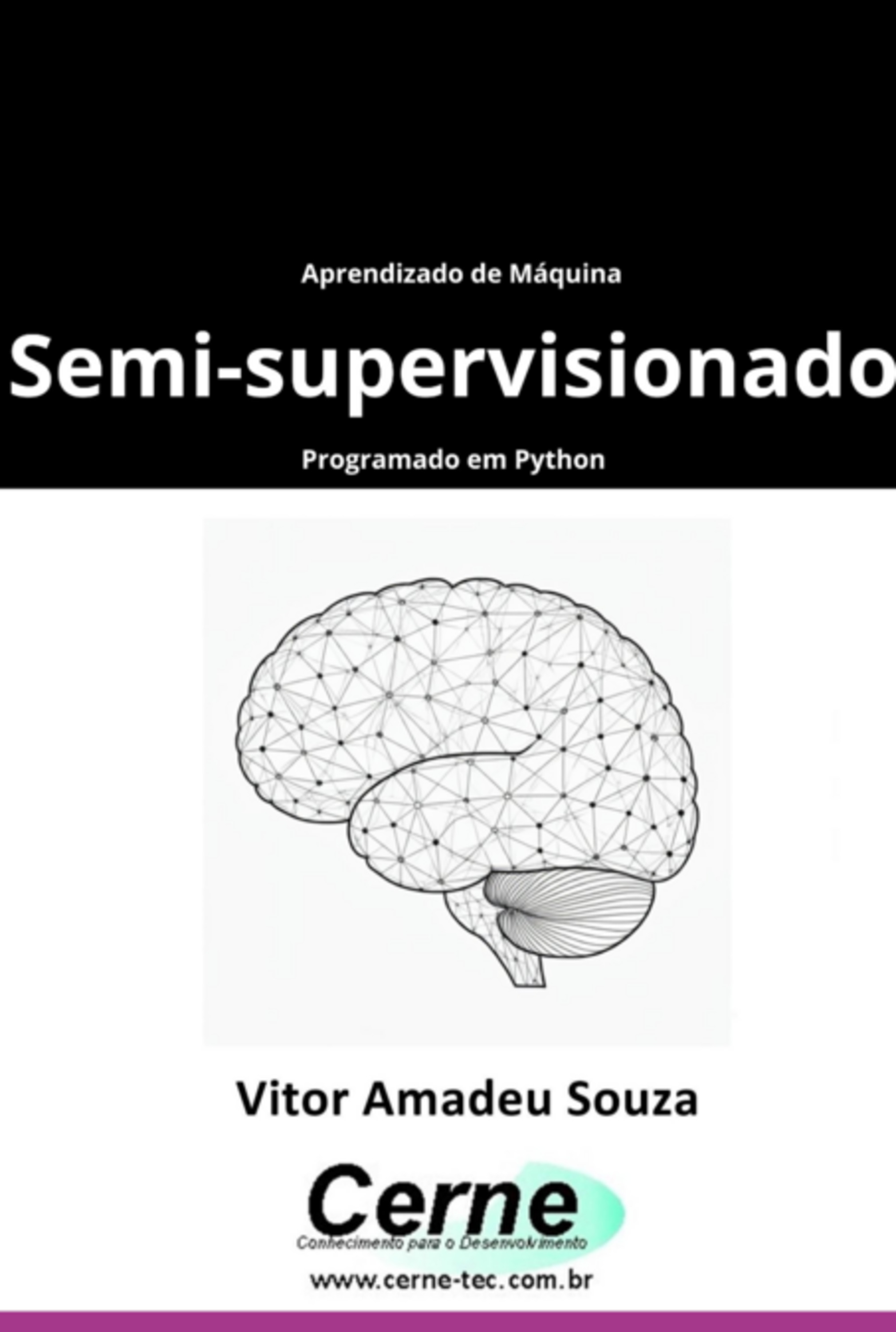 Aprendizado De Máquina Semi-supervisionado Programado Em Python