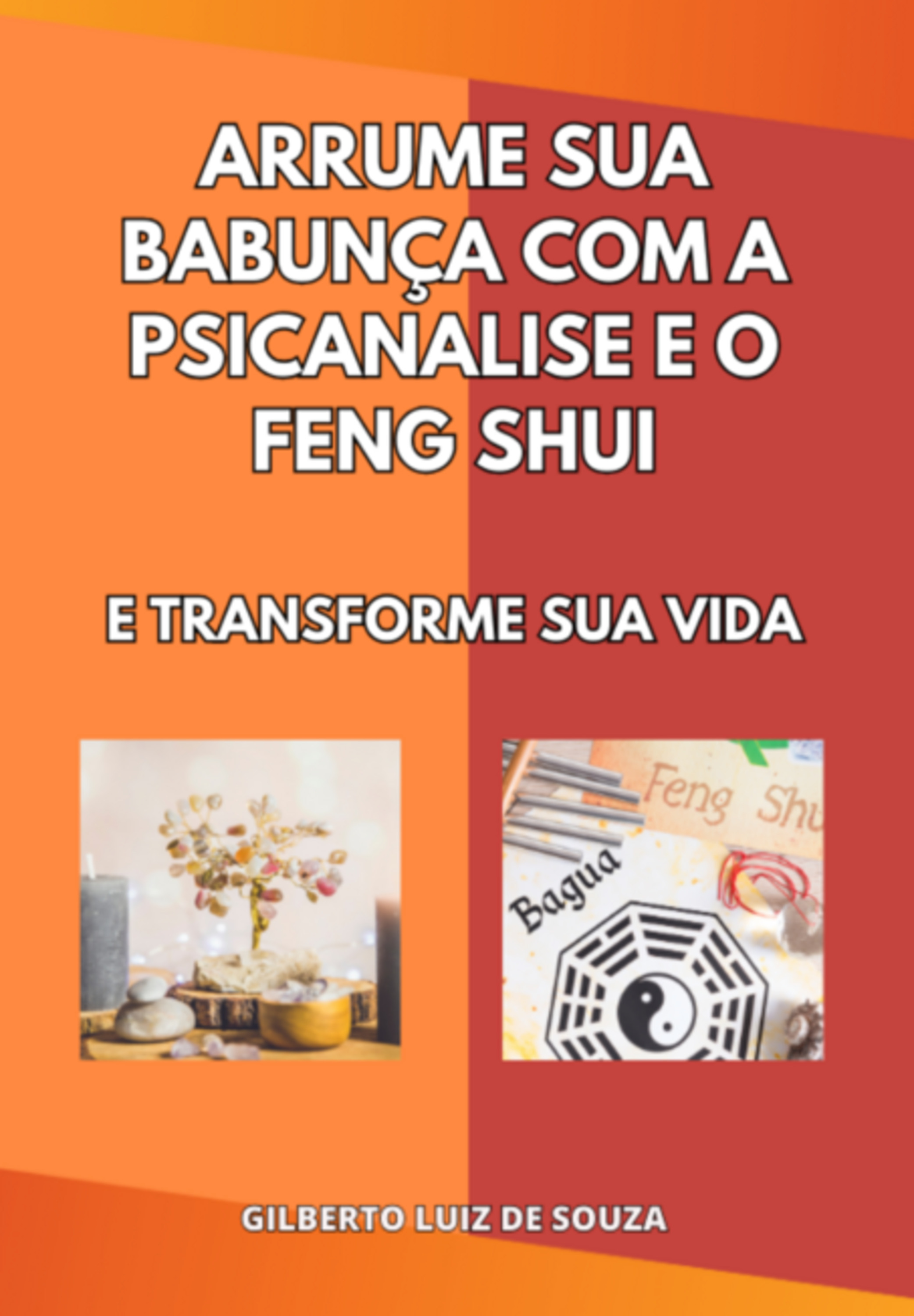 Arrume Sua Bagunça Com Psicanálise E Feng Shui