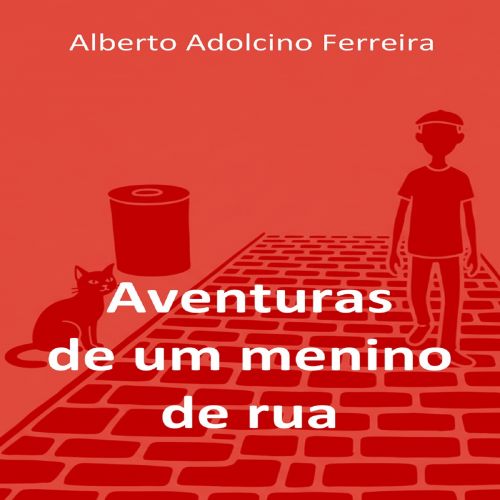 Aventuras de um menino de rua