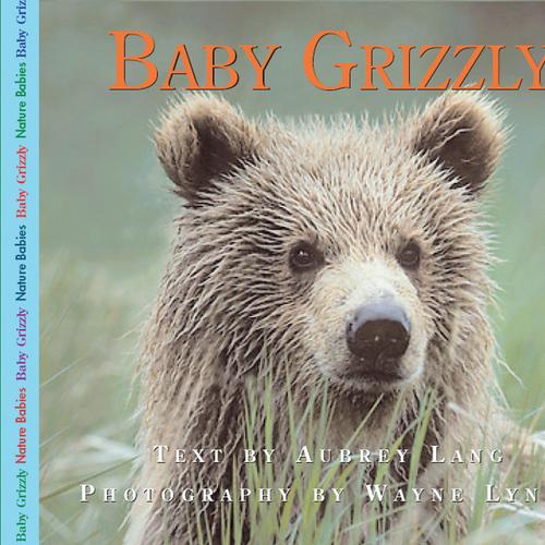 Baby Grizzly