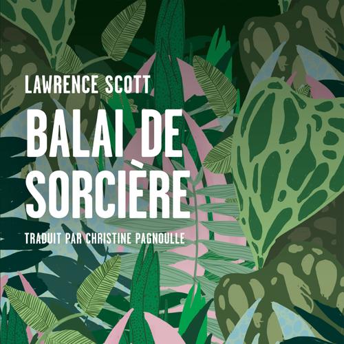 Balai de sorcière