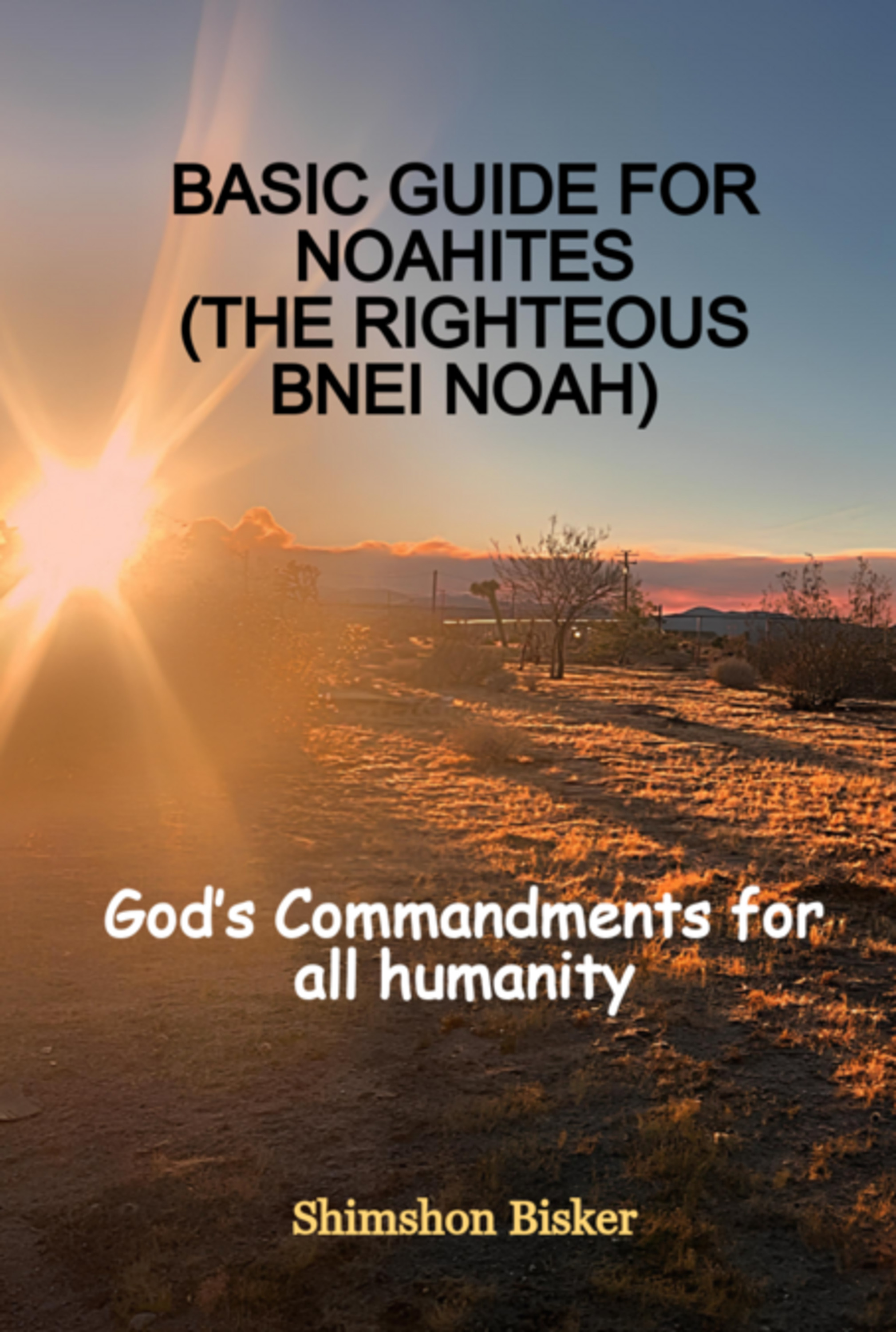 Basic Guide For Noahites (the Righteous Bnei Noah)