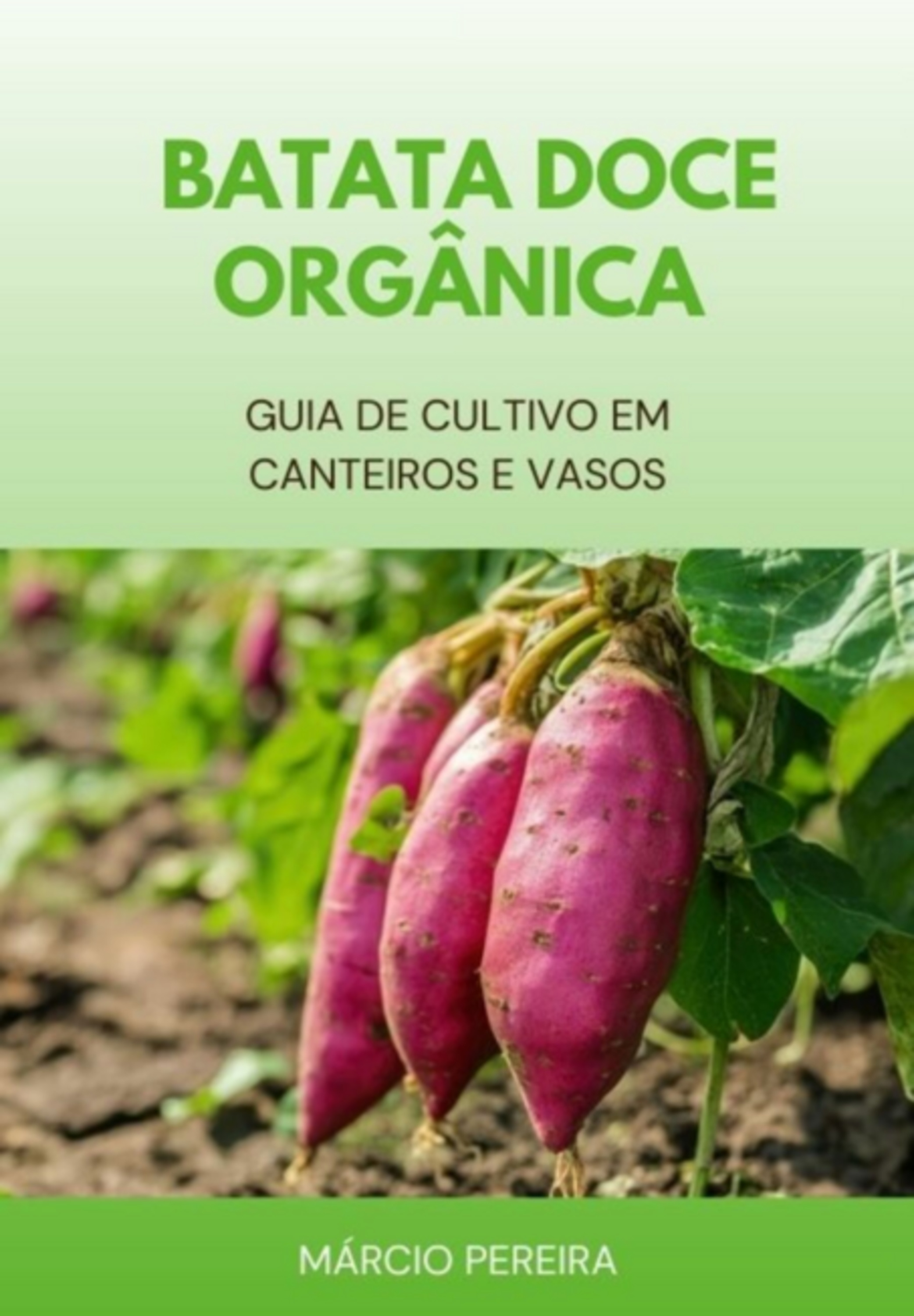 Batata Doce Orgânica