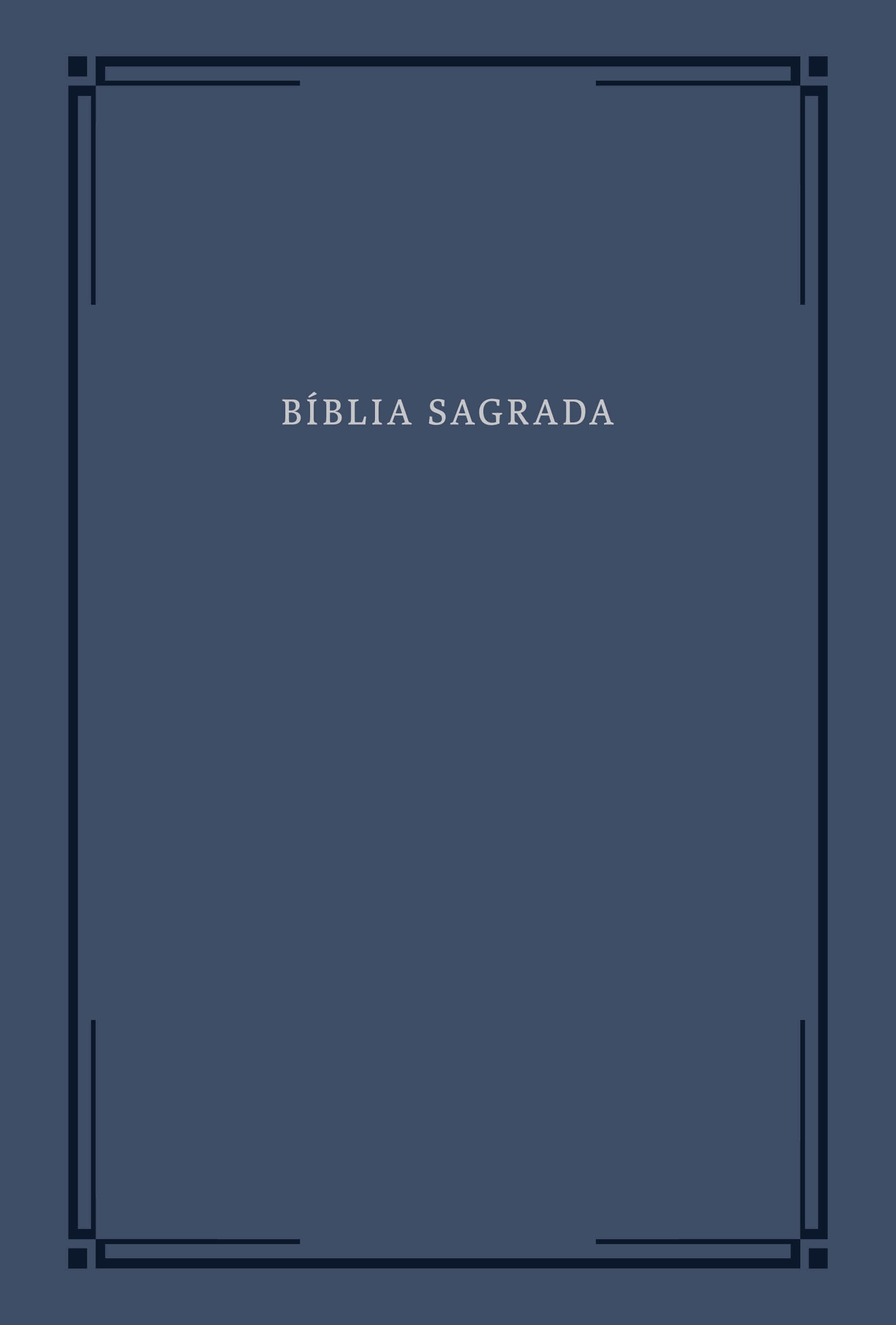 Bíblia Slim NVI, Letra Grande, Capa azul, Barroca