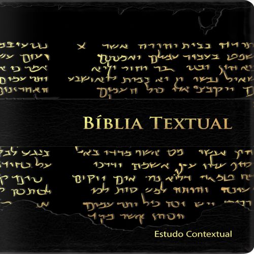 Bíblia Textual
