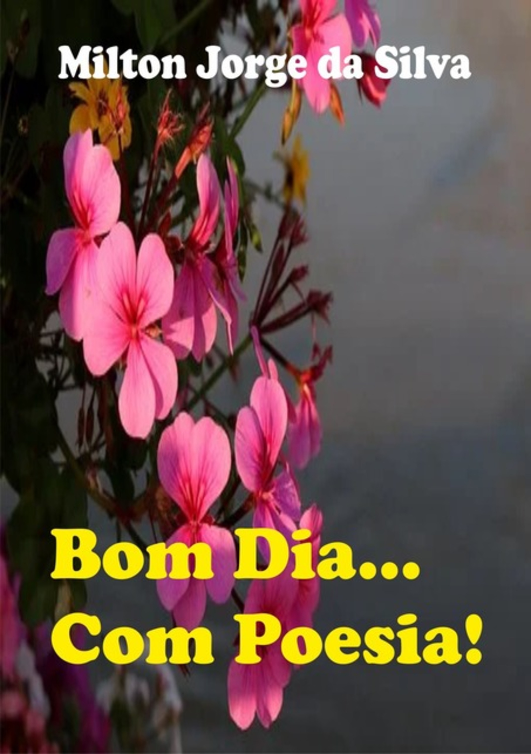 Bom Dia Com Poesia