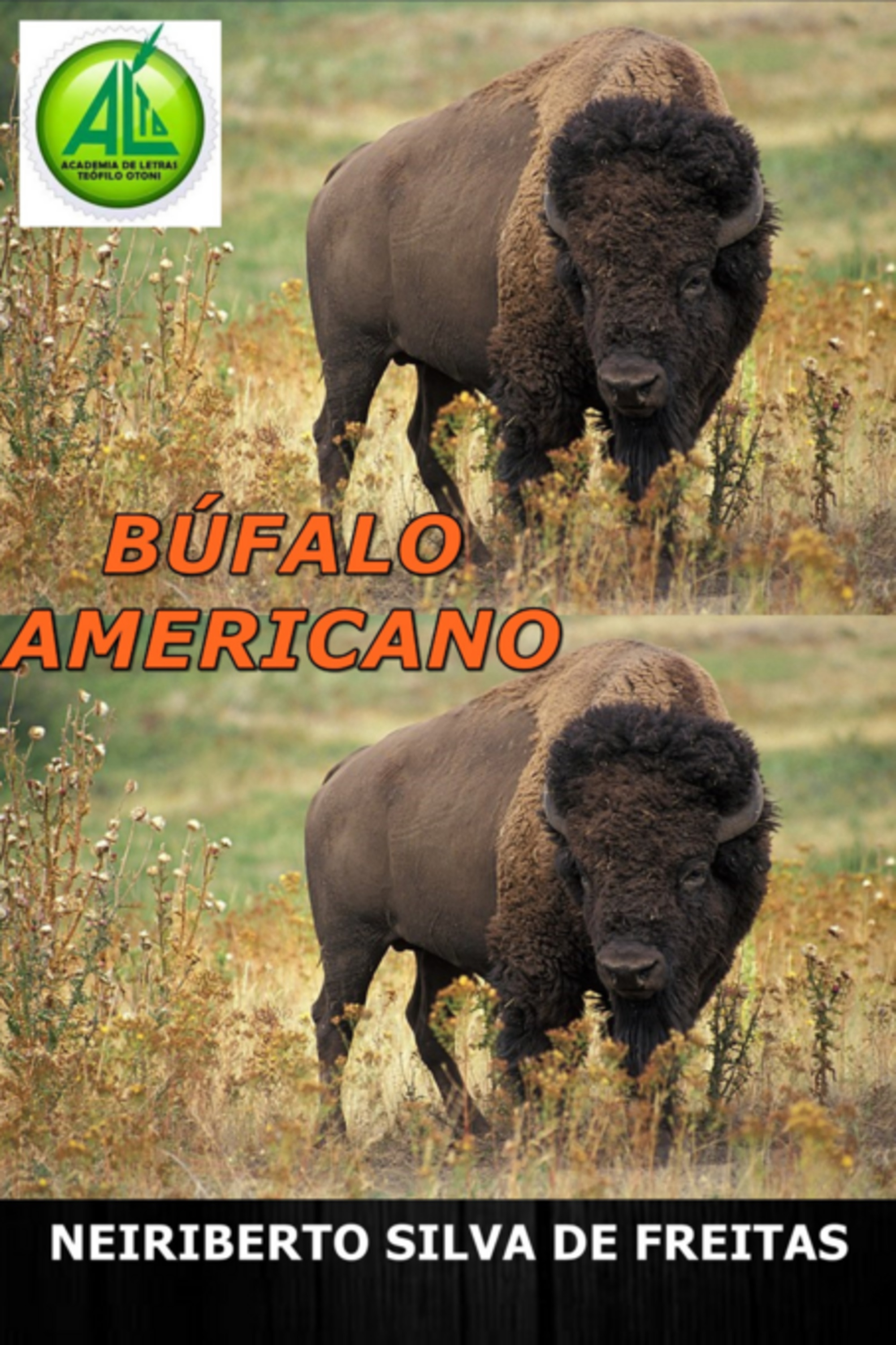 Búfalo Americano