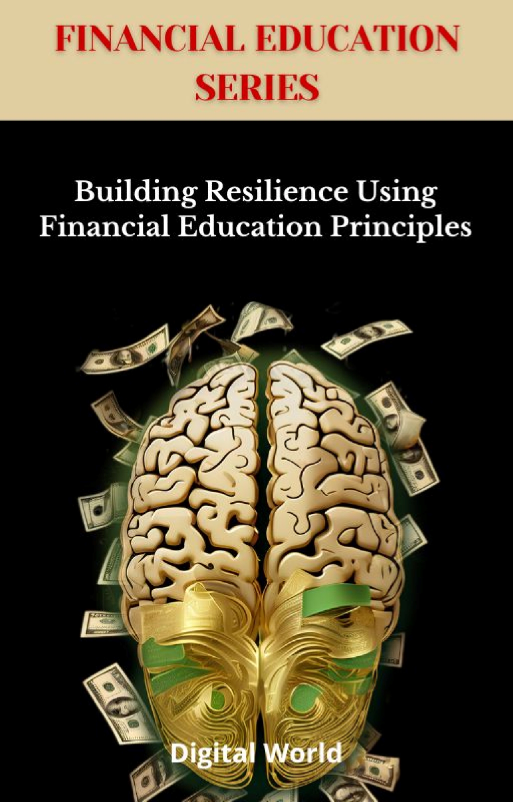 Building Resilience Using Financial Education Principles