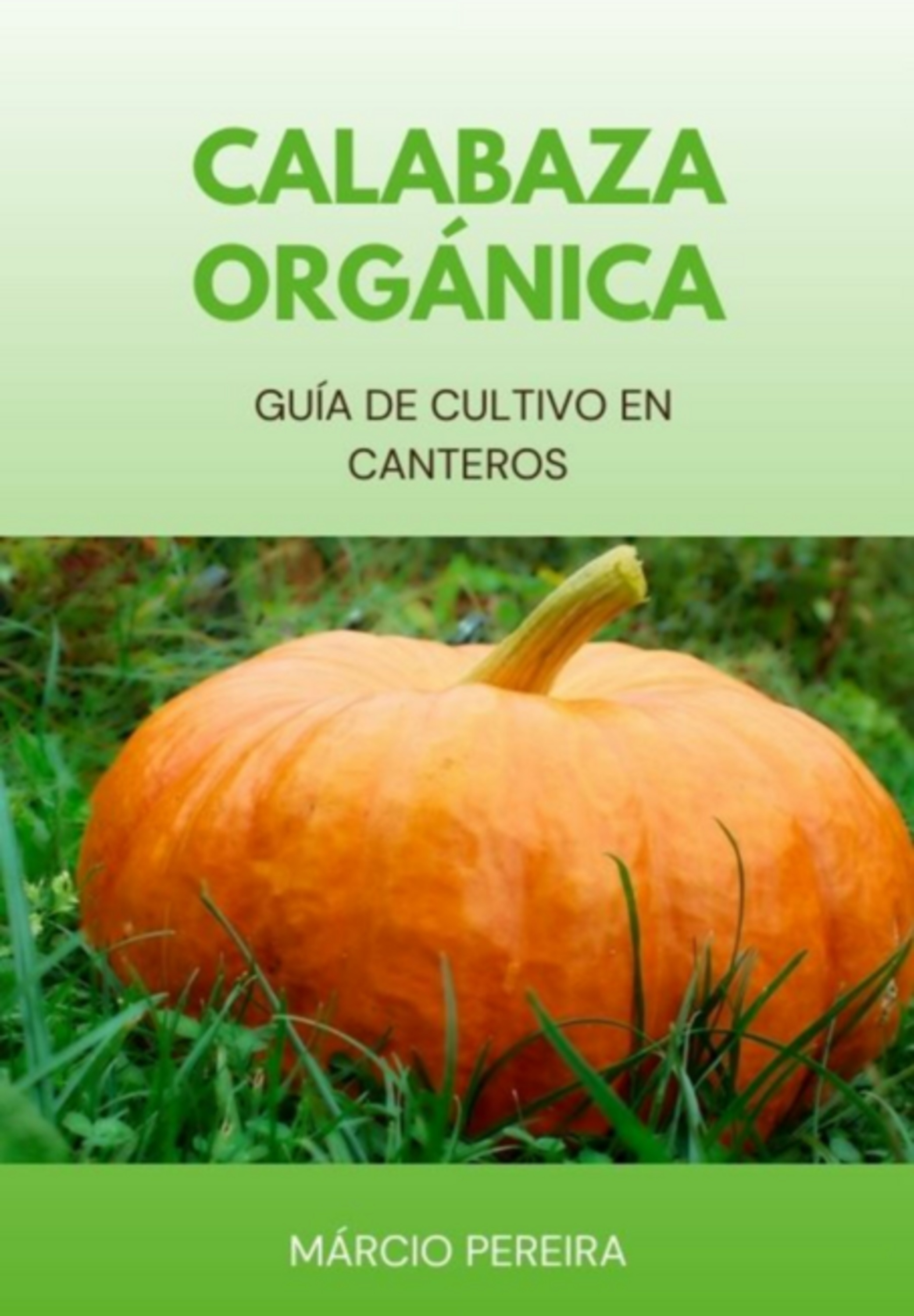 Calabaza Orgánica