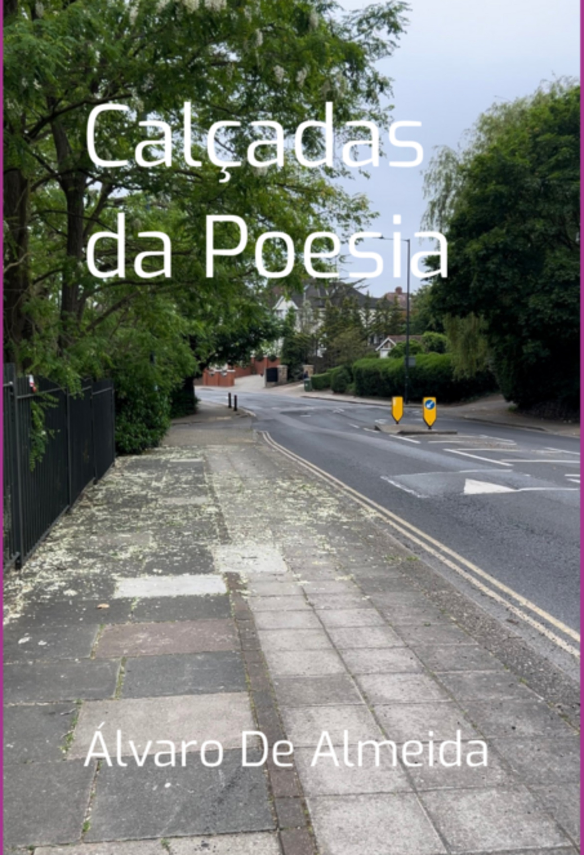 Calçadas Da Poesia