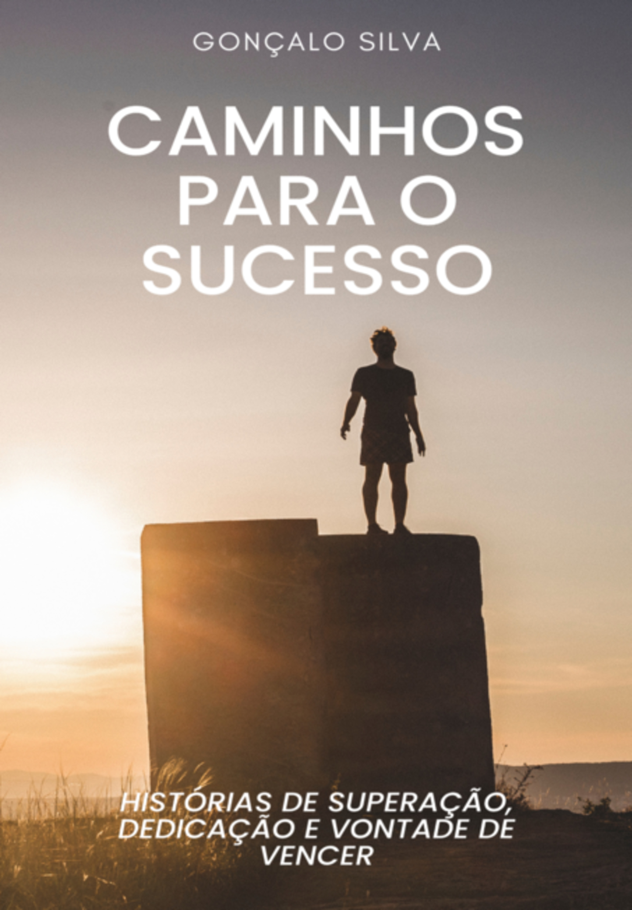 Caminhos Para O Sucesso