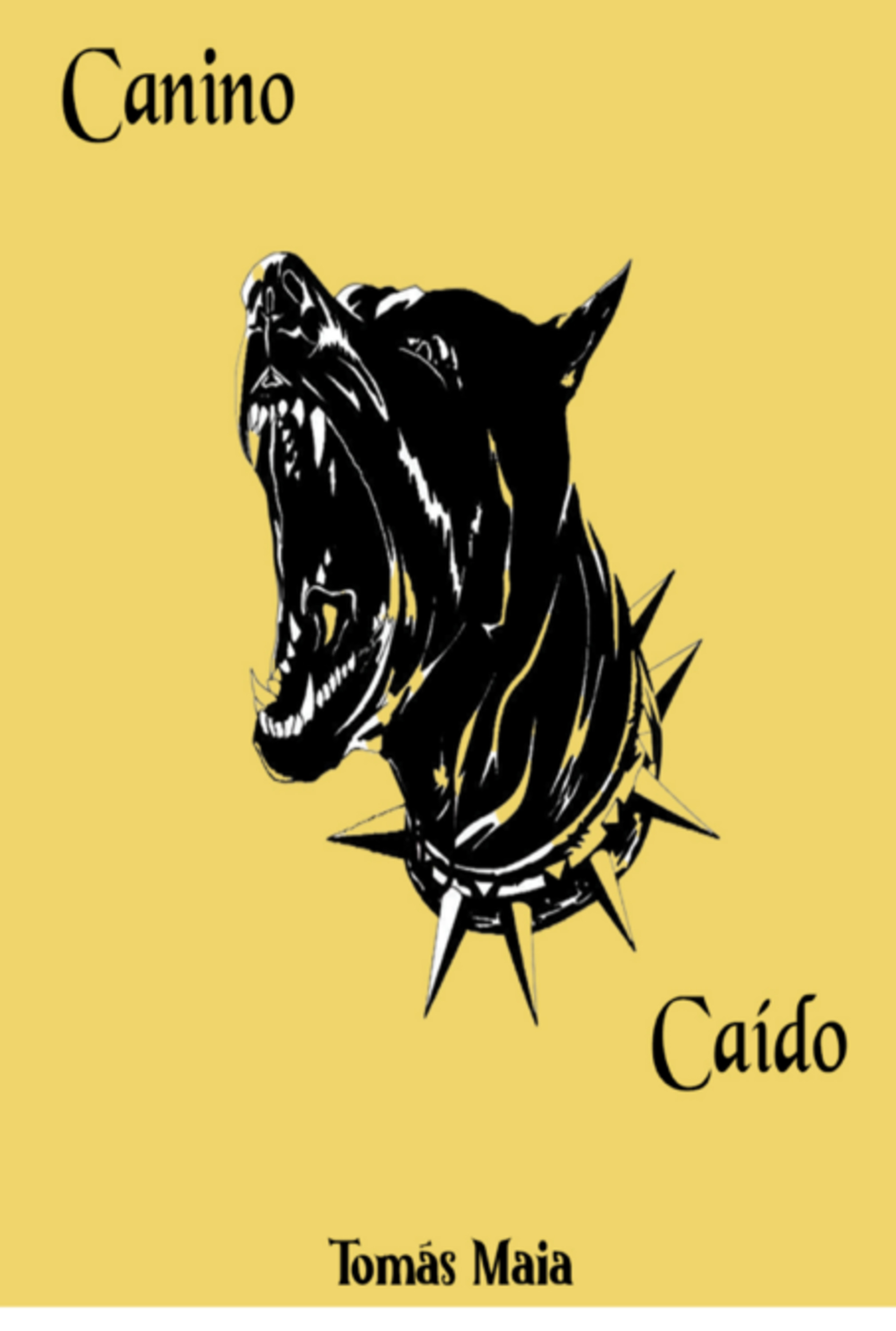 Canino Caído