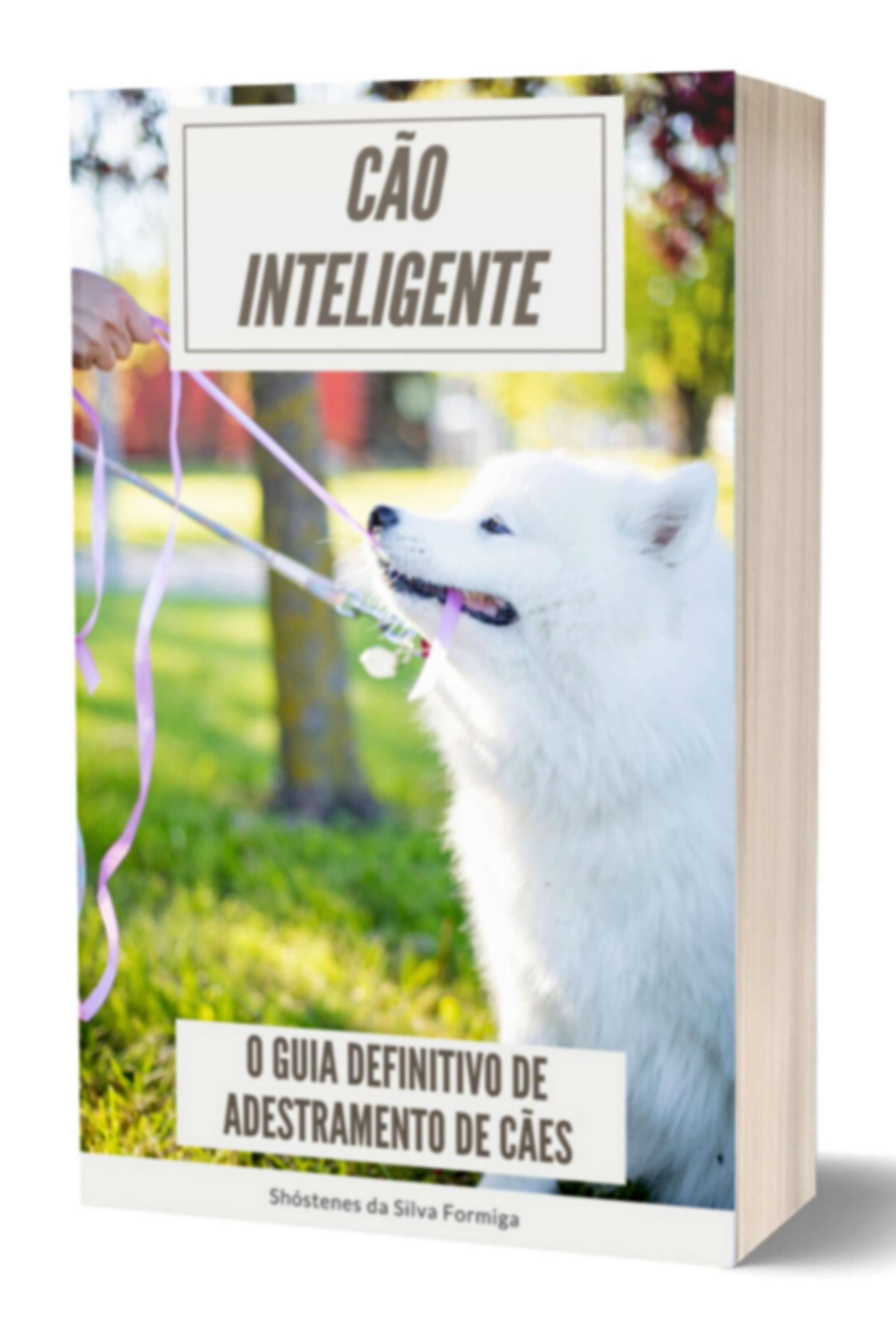 Cão Inteligente: 