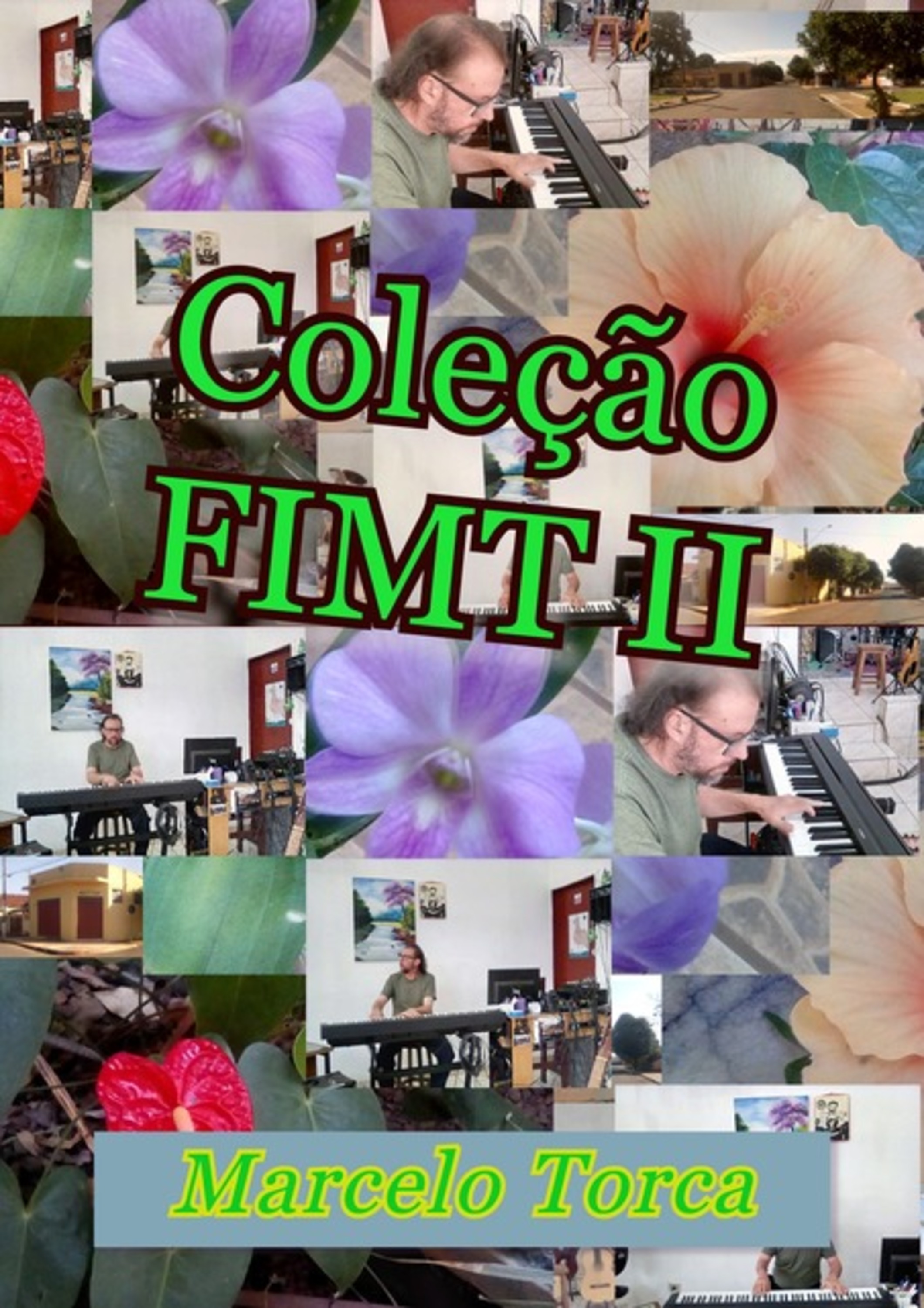 Coleção Fimt Ii