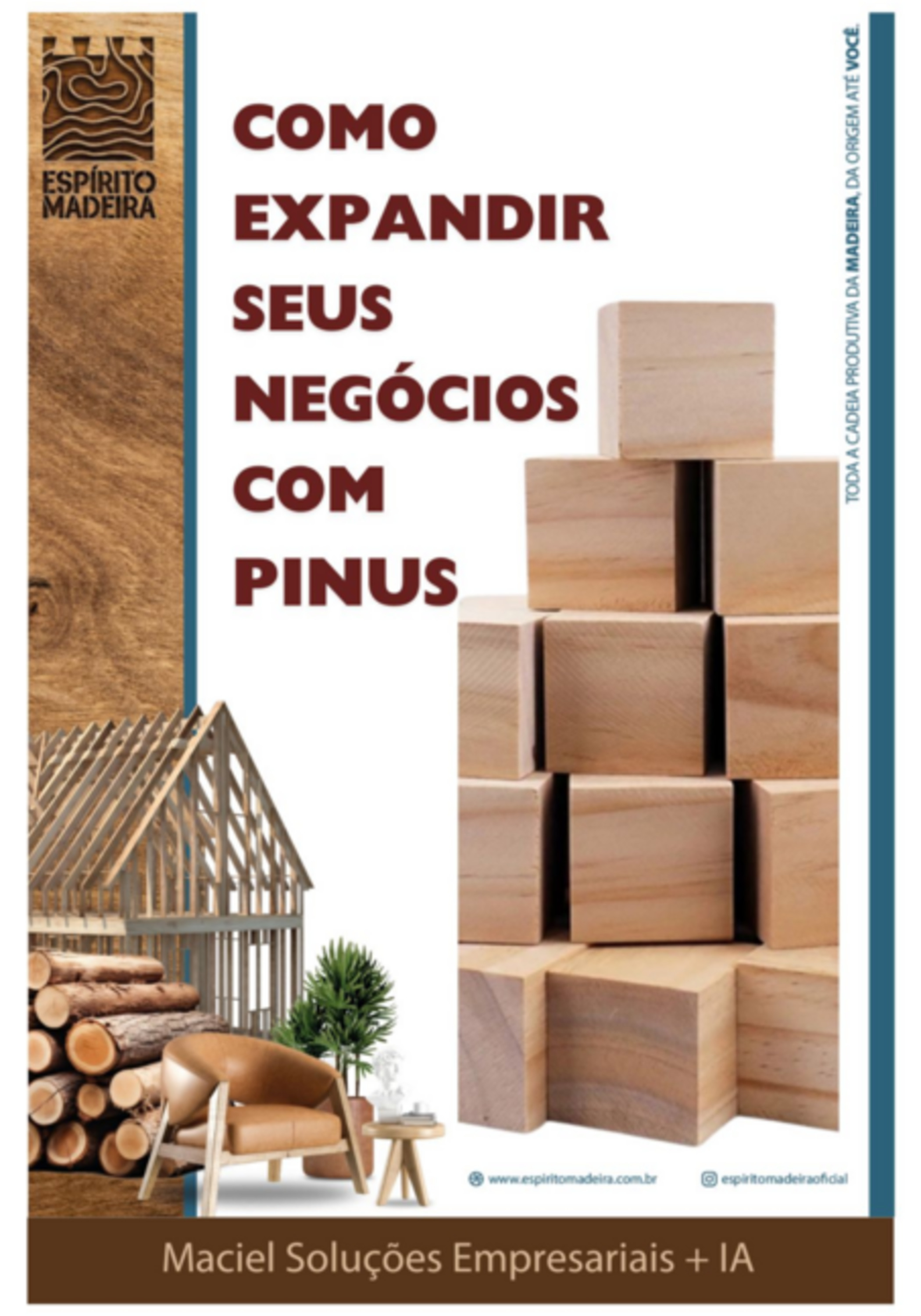 Como Ampliar Seus Negócios Com Pinus