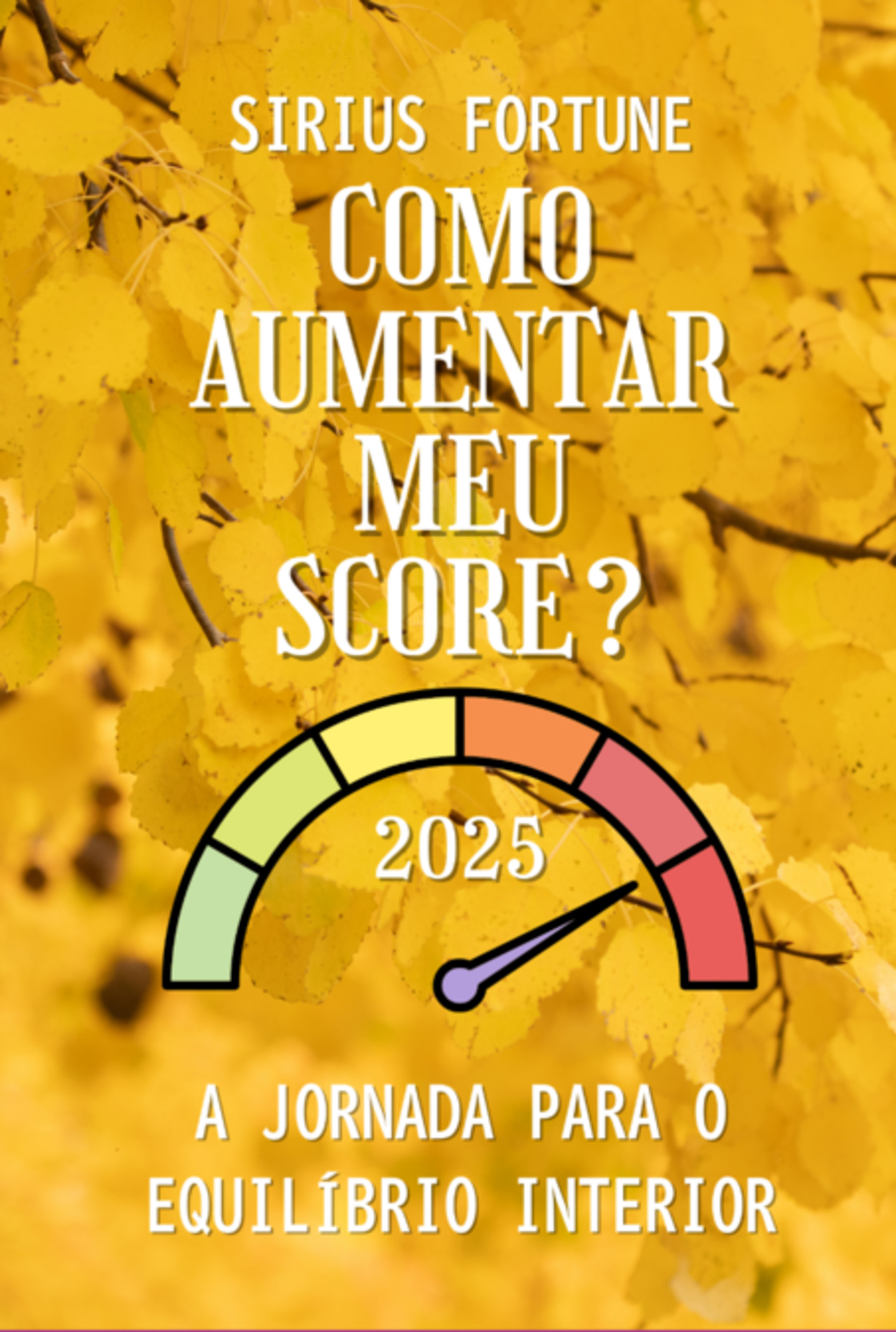 Como Aumentar Meu Score?