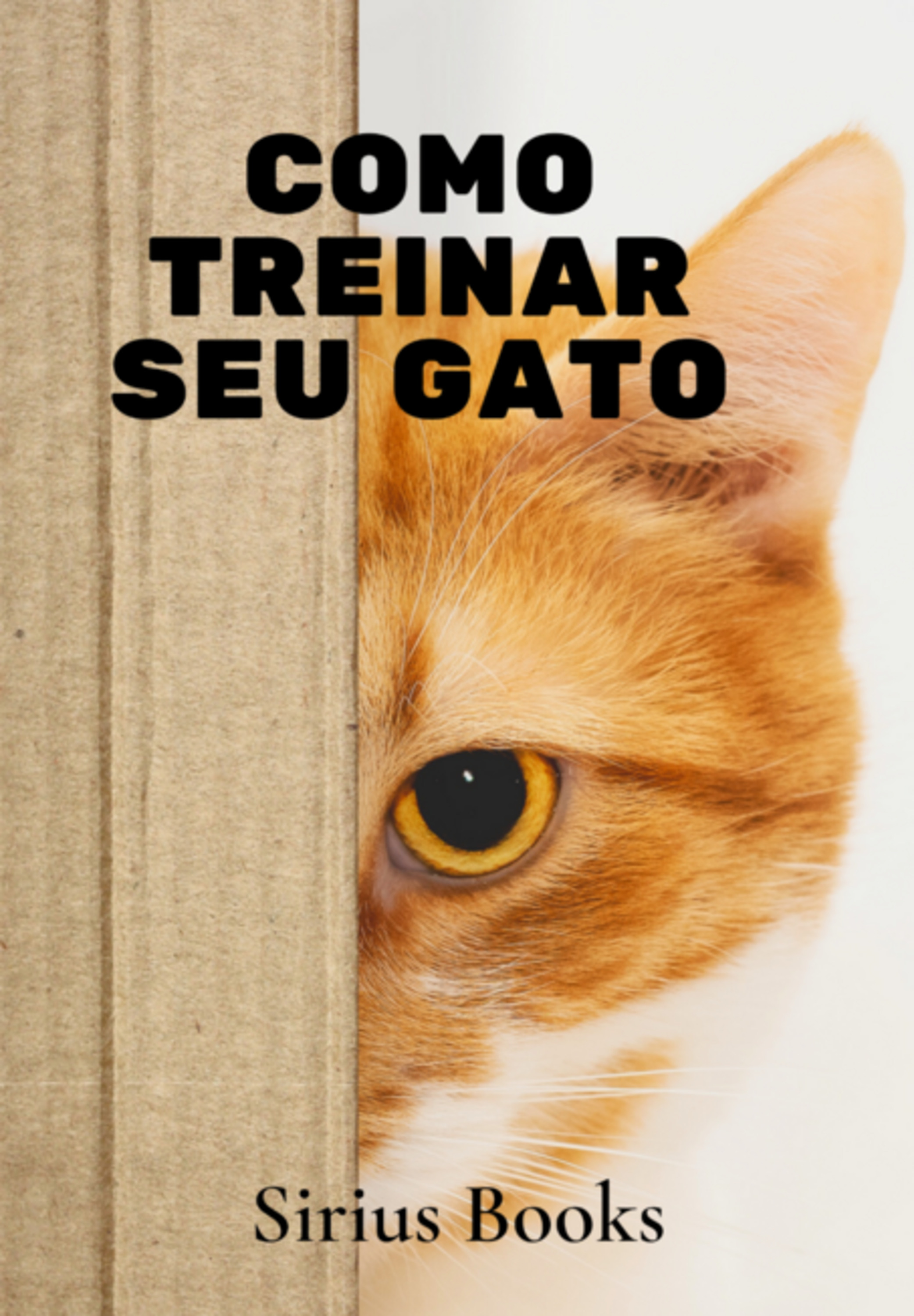 Como Treinar Seu Gato