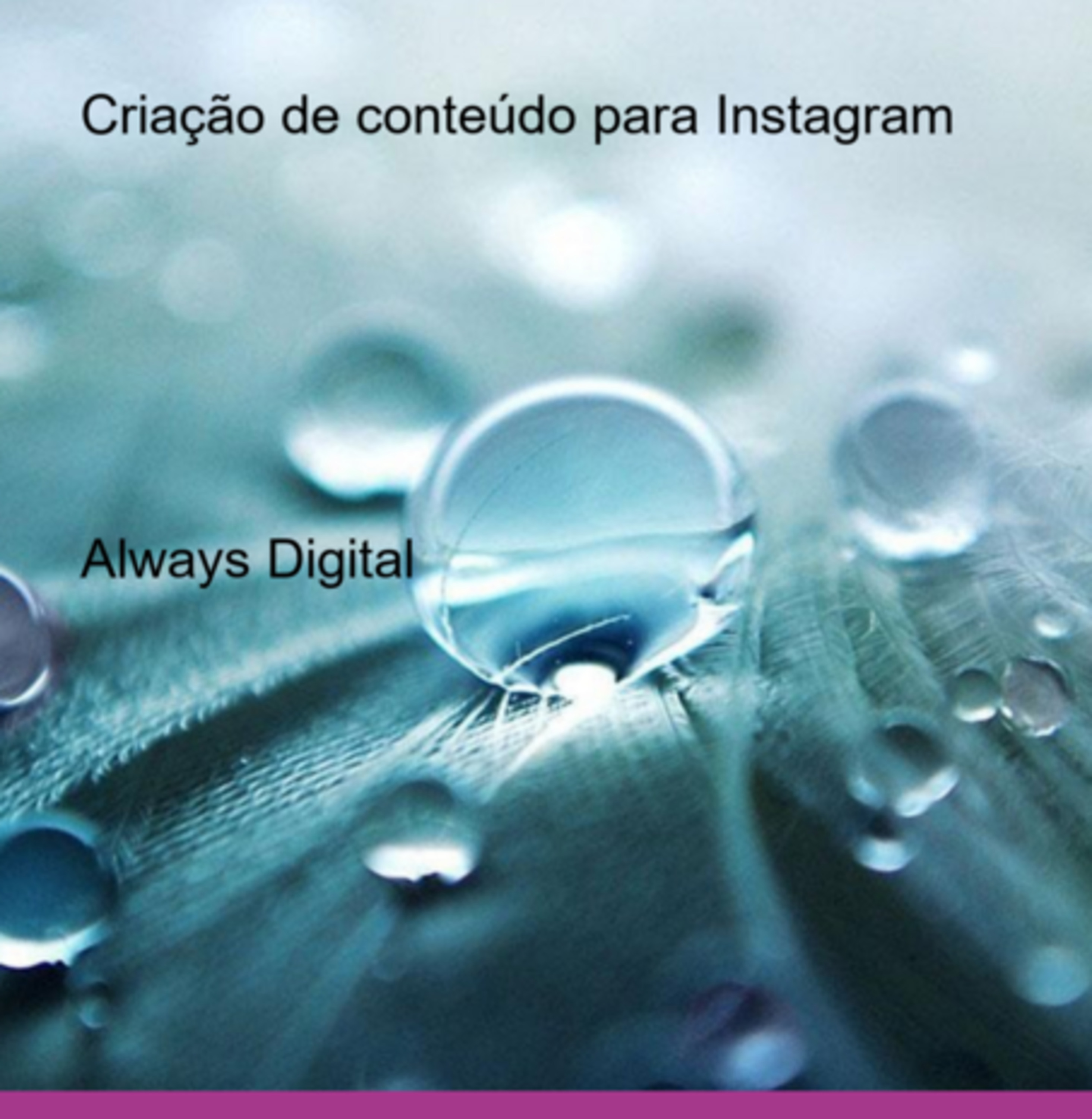 Criação De Conteúdo Para Instagram