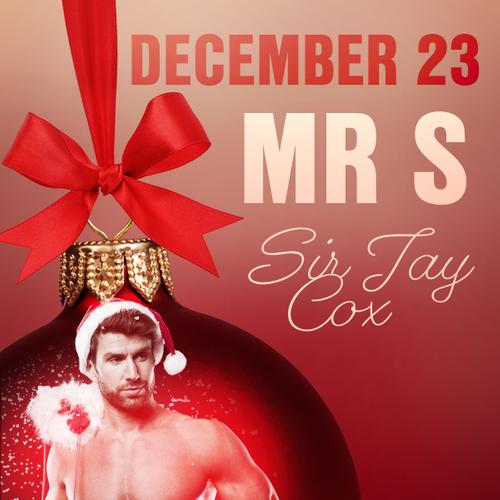 December 23: Mr S – An Erotic Christmas Calendar