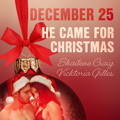 December 25: He Came for Christmas - An Erotic Christmas Calendar