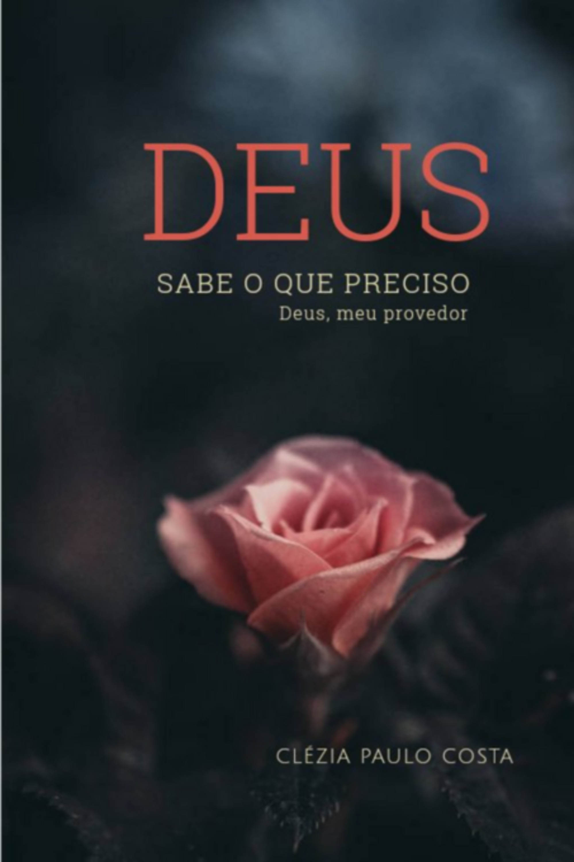 Deus Sabe O Que Preciso