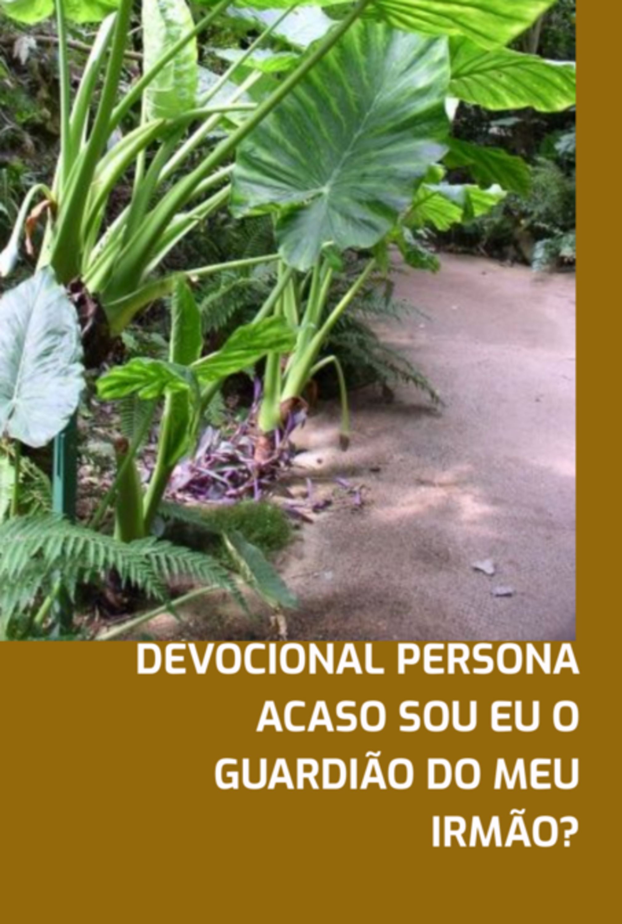 Devocional Persona Acaso Sou Eu O Guardião Do Meu Irmão?