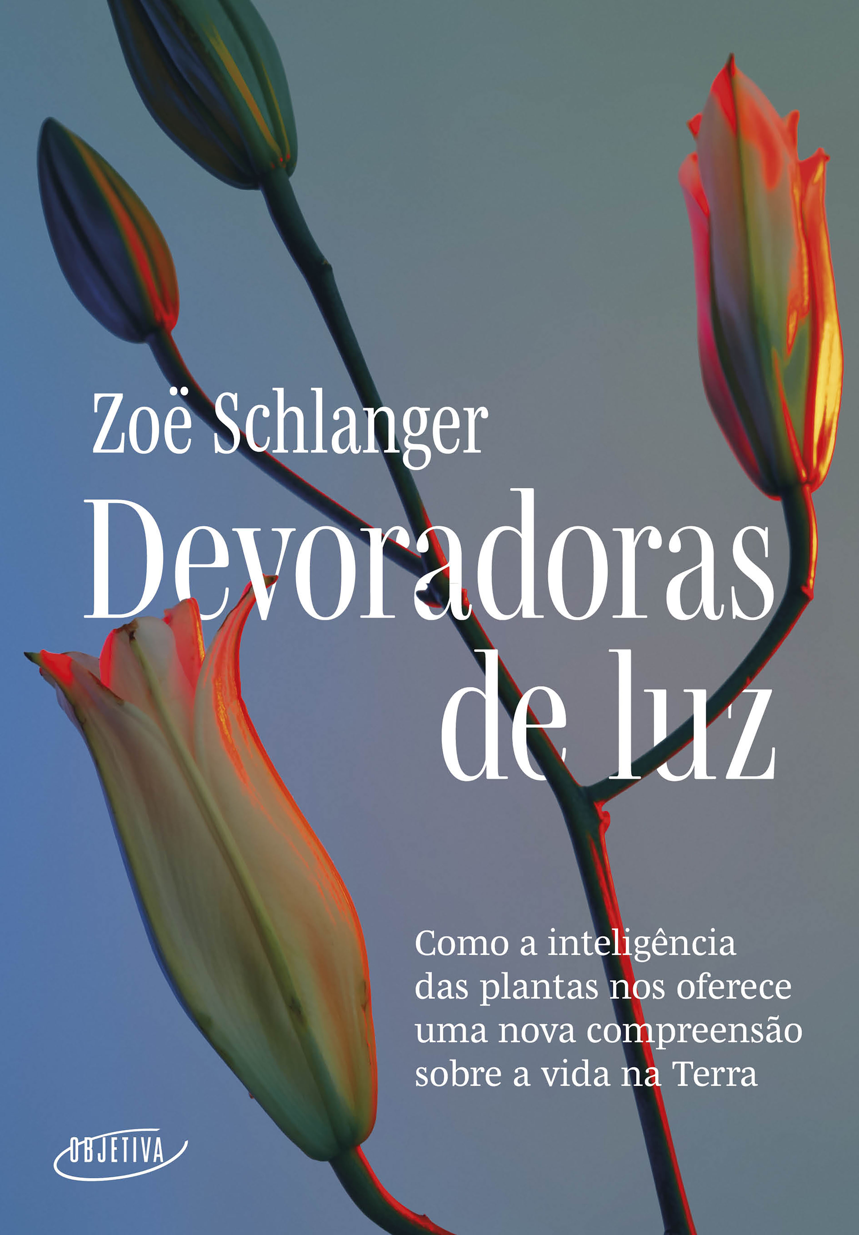 Devoradoras de luz