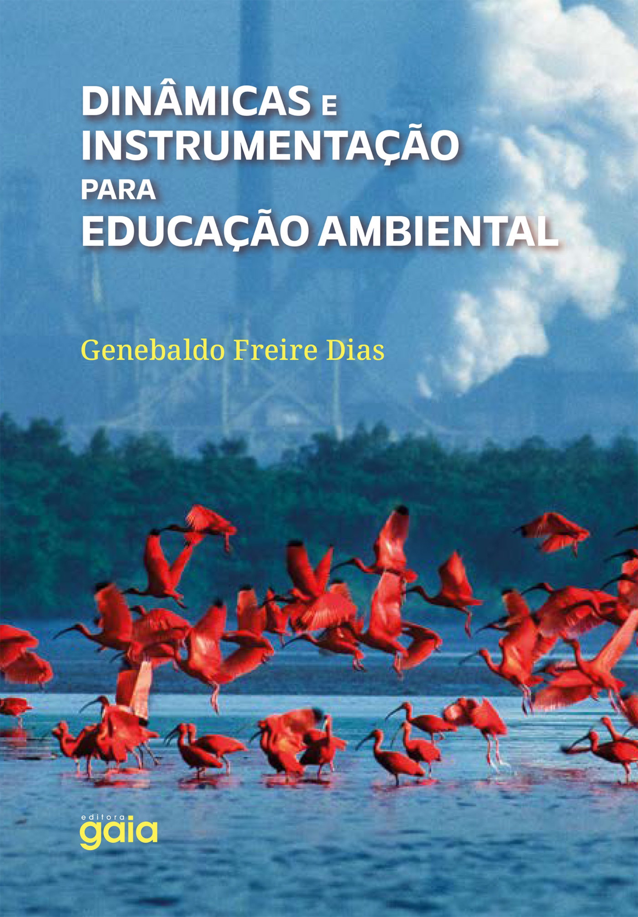 Dinâmicas e Instrumentação para educação ambiental