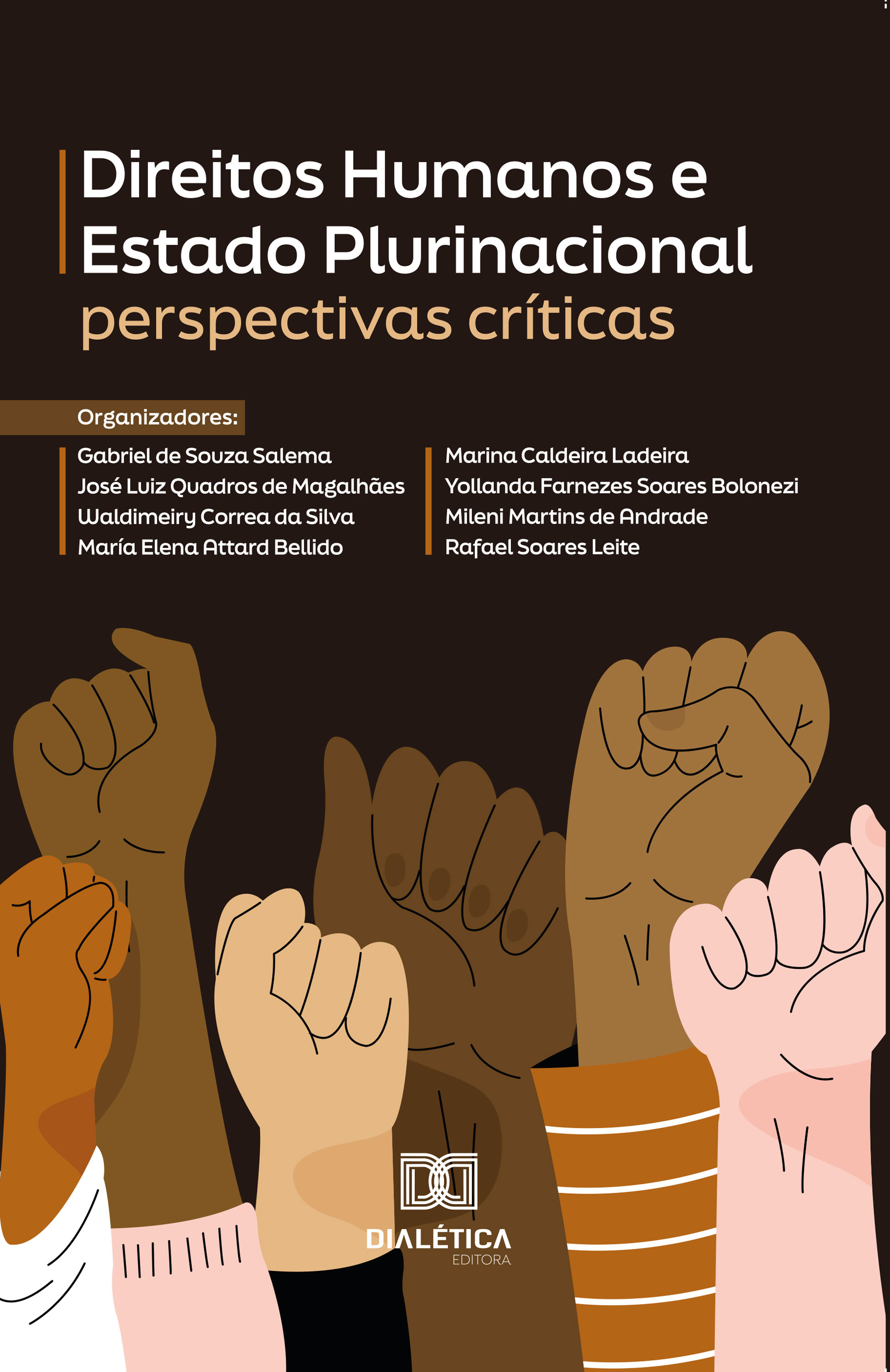 Direitos Humanos e Estado Plurinacional