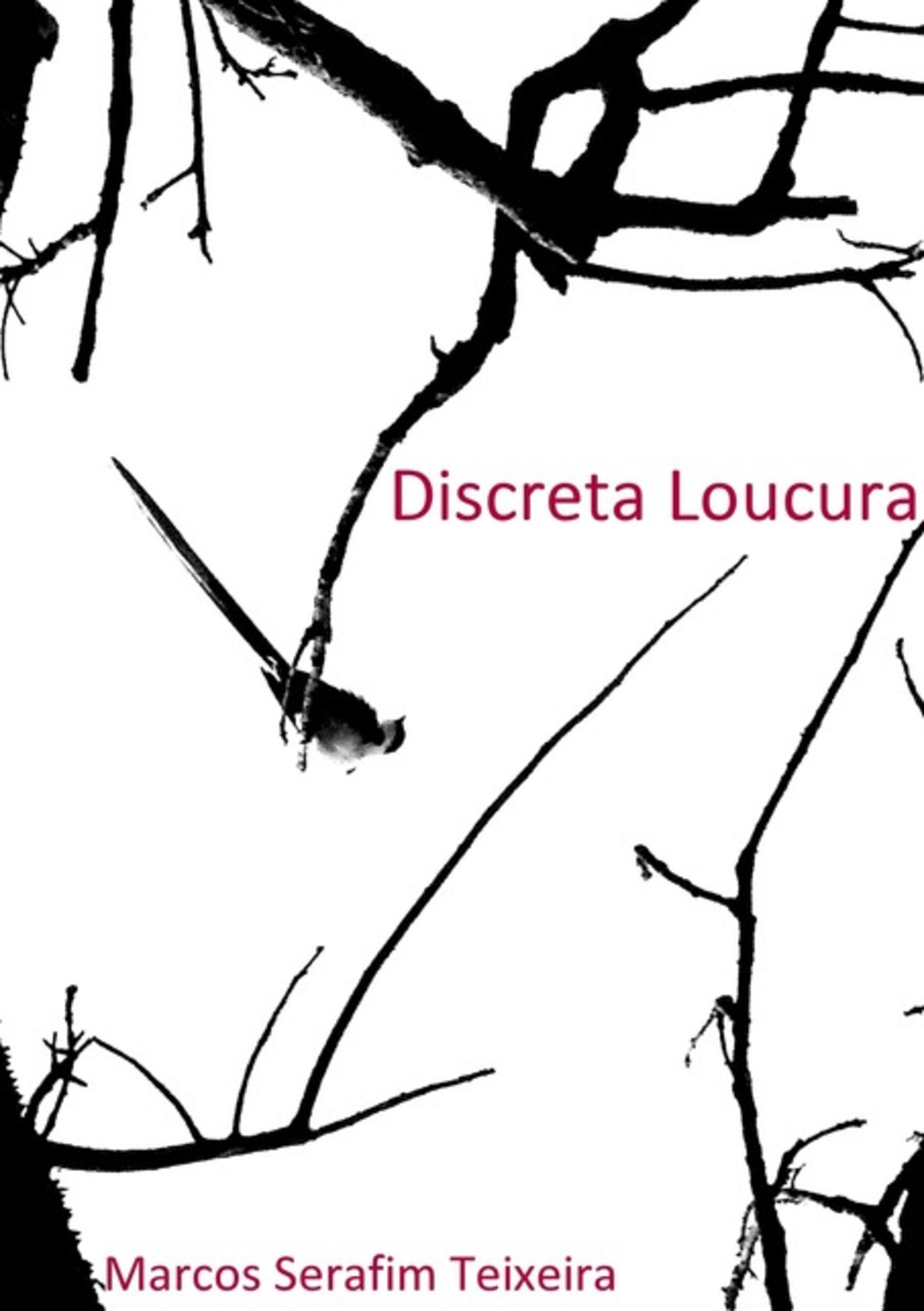 Discreta Loucura