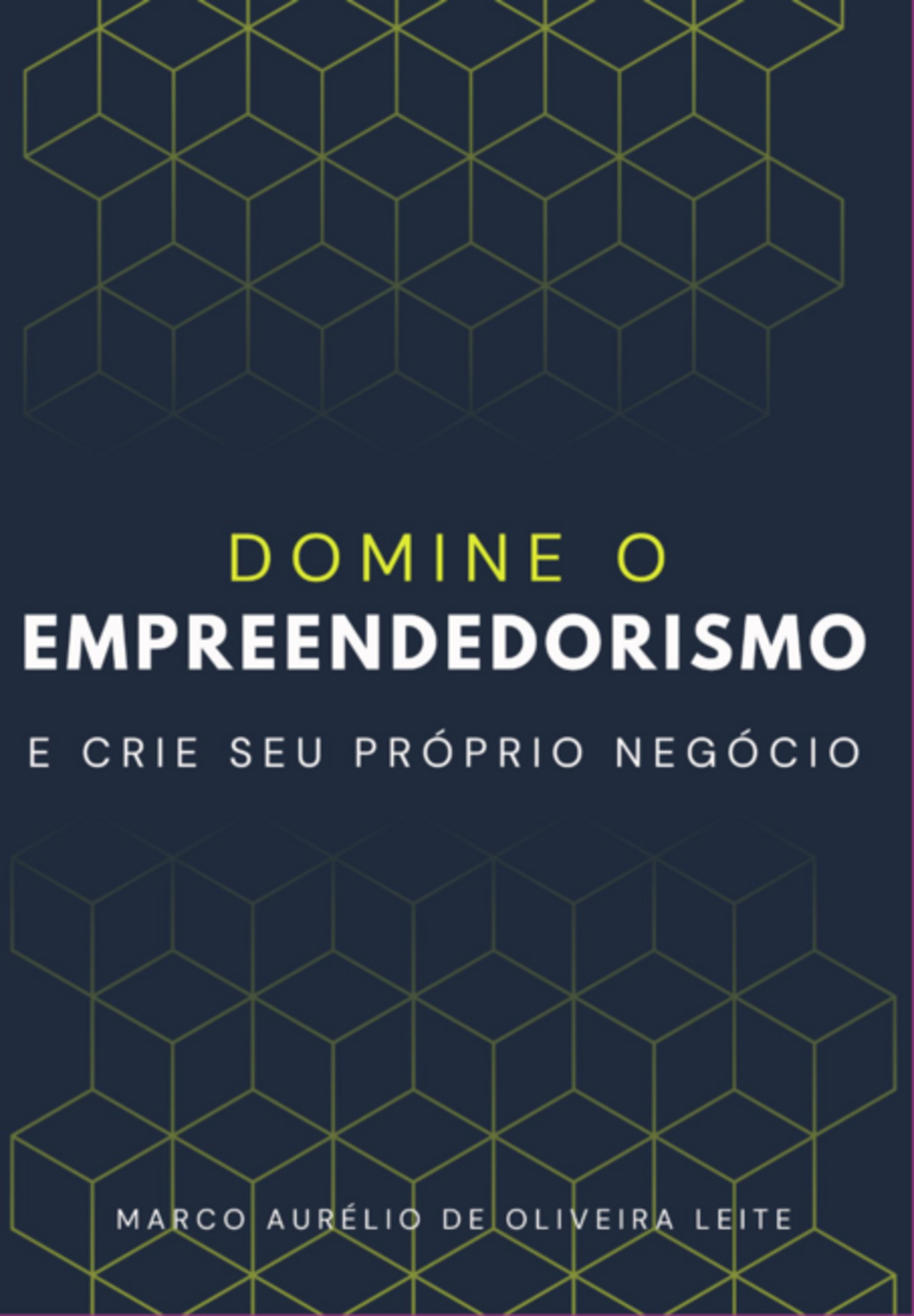 Domine O Empreendedorismo E Crie Seu Próprio Negócio