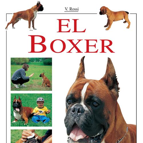 El Boxer