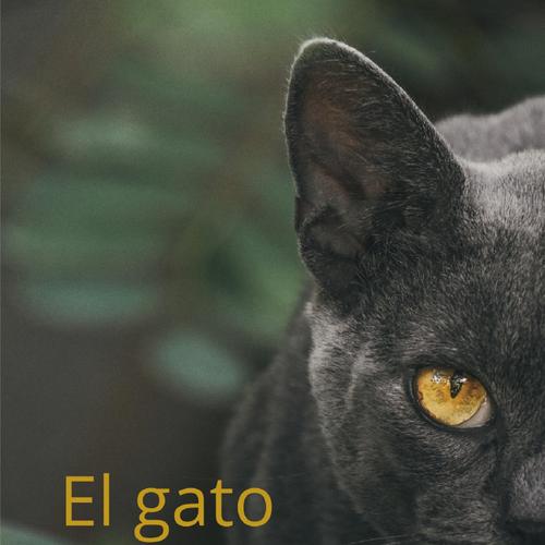 El Gato del Cura