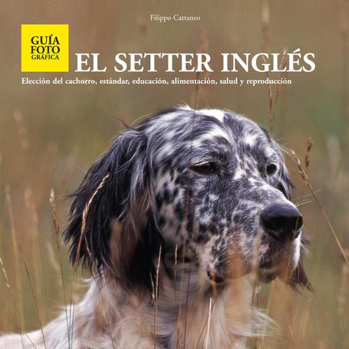 El setter ingles