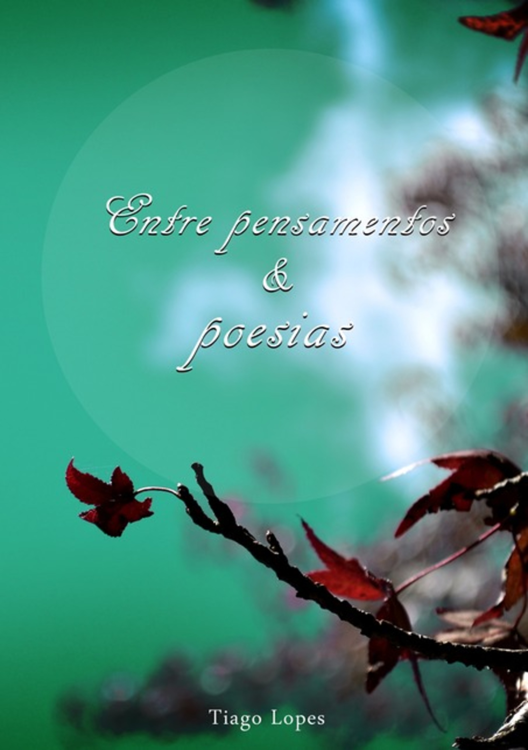 Entre Pensamentos E Poesias