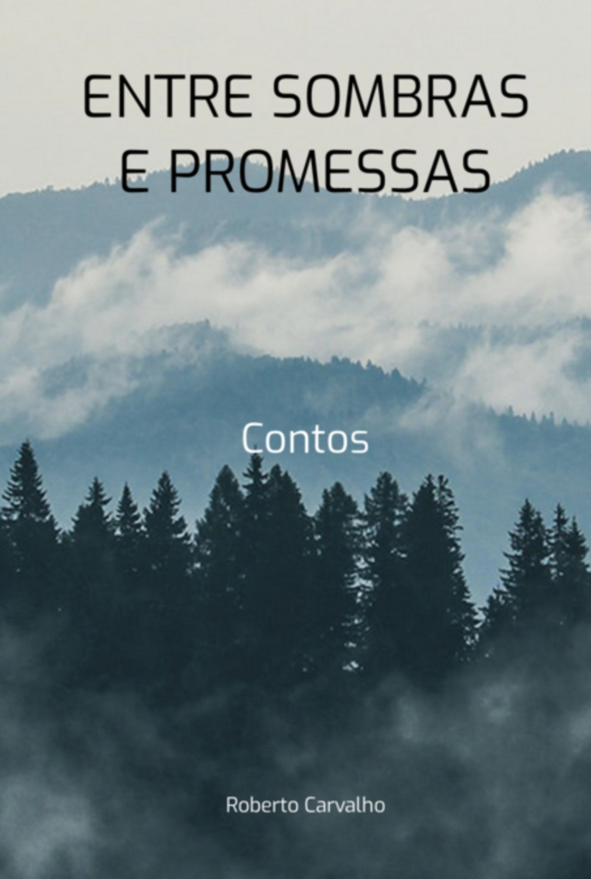 Entre Sombras E Promessas