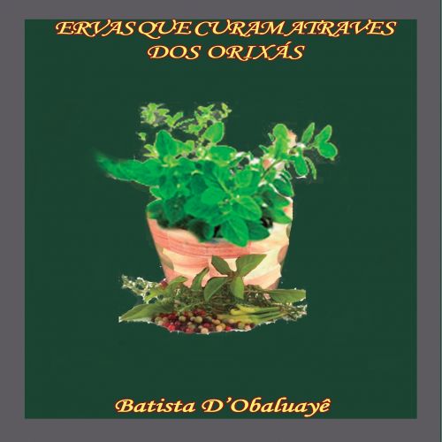 Ervas que curam através dos Orixás
