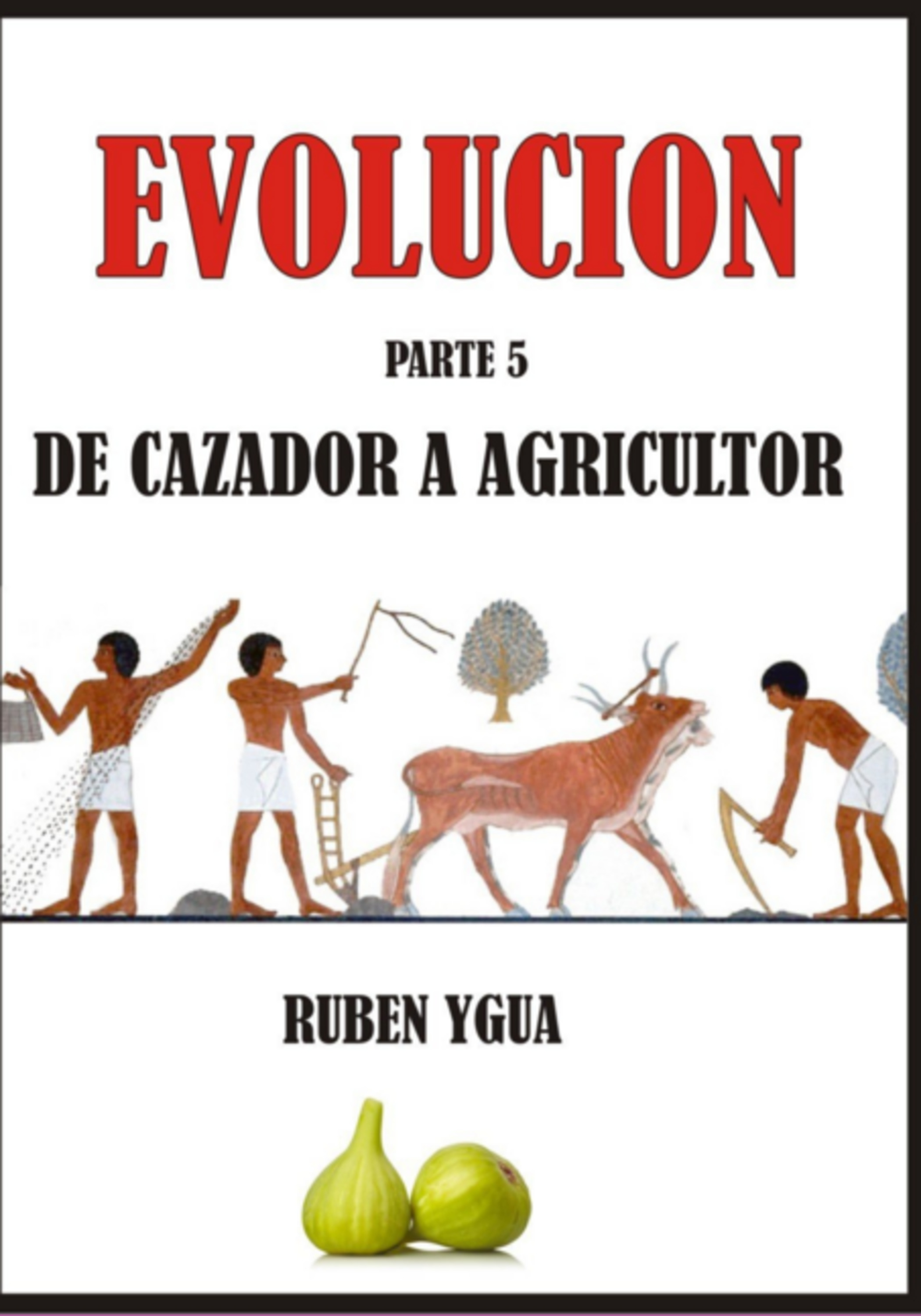 Evolución- De Cazador A Agricultor