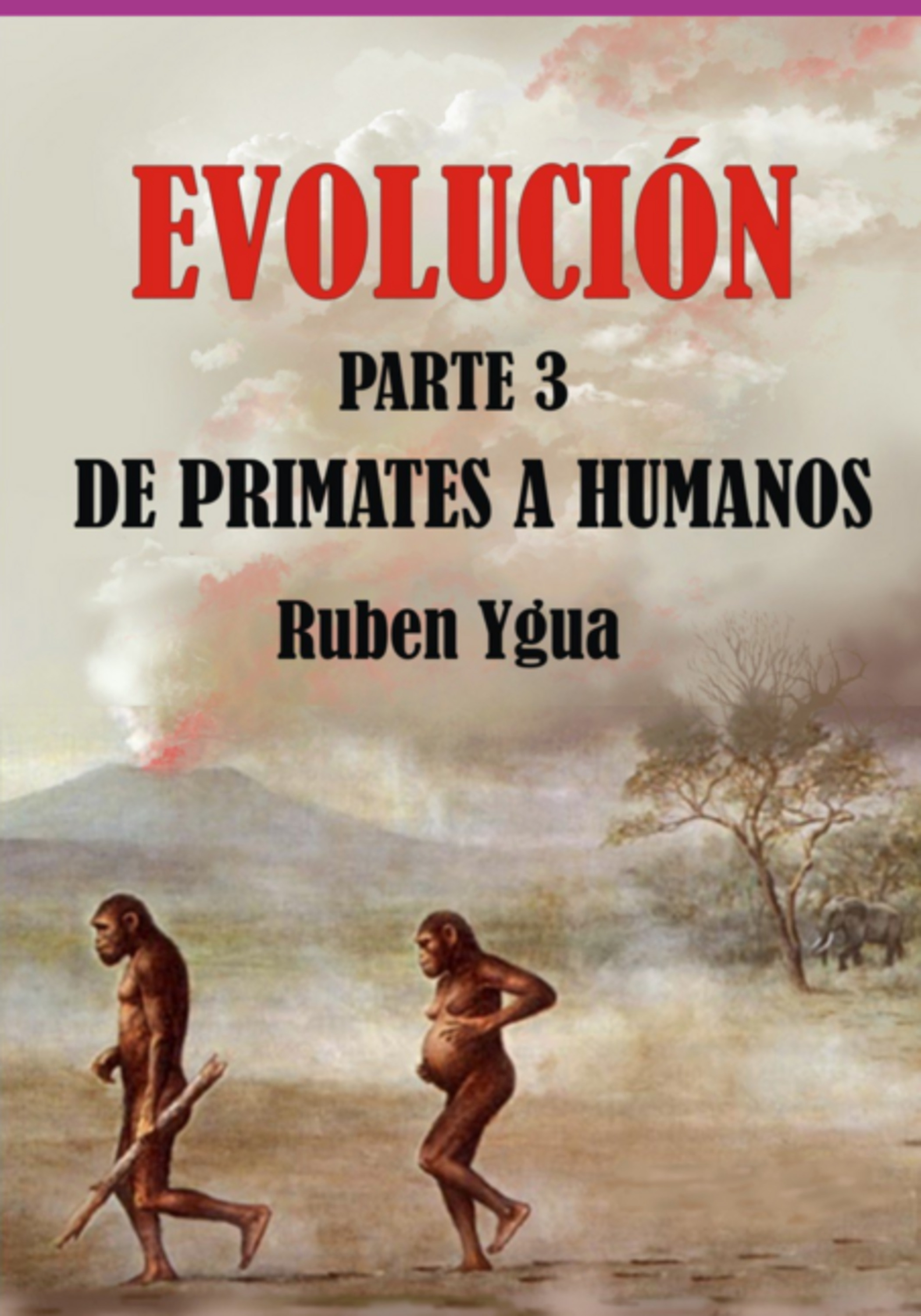 Evolución- De Primates A Humanos