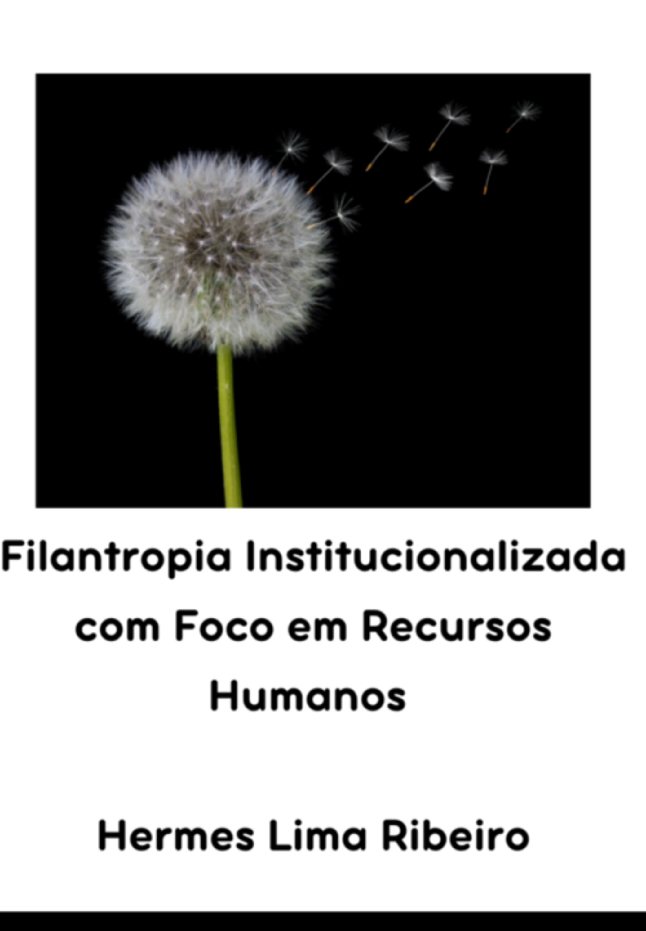 Filantropia Institucionalizada Com Foco Em Recursos Humanos