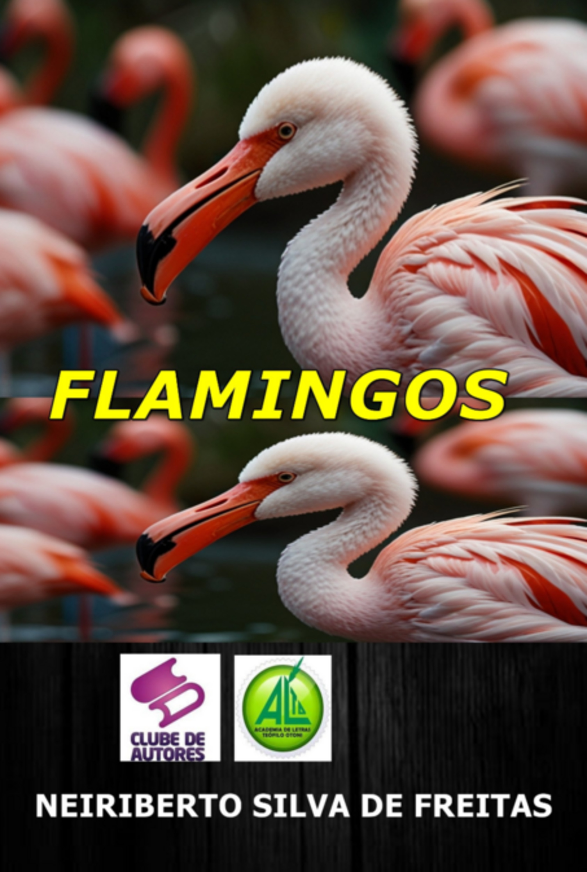 Flamingos