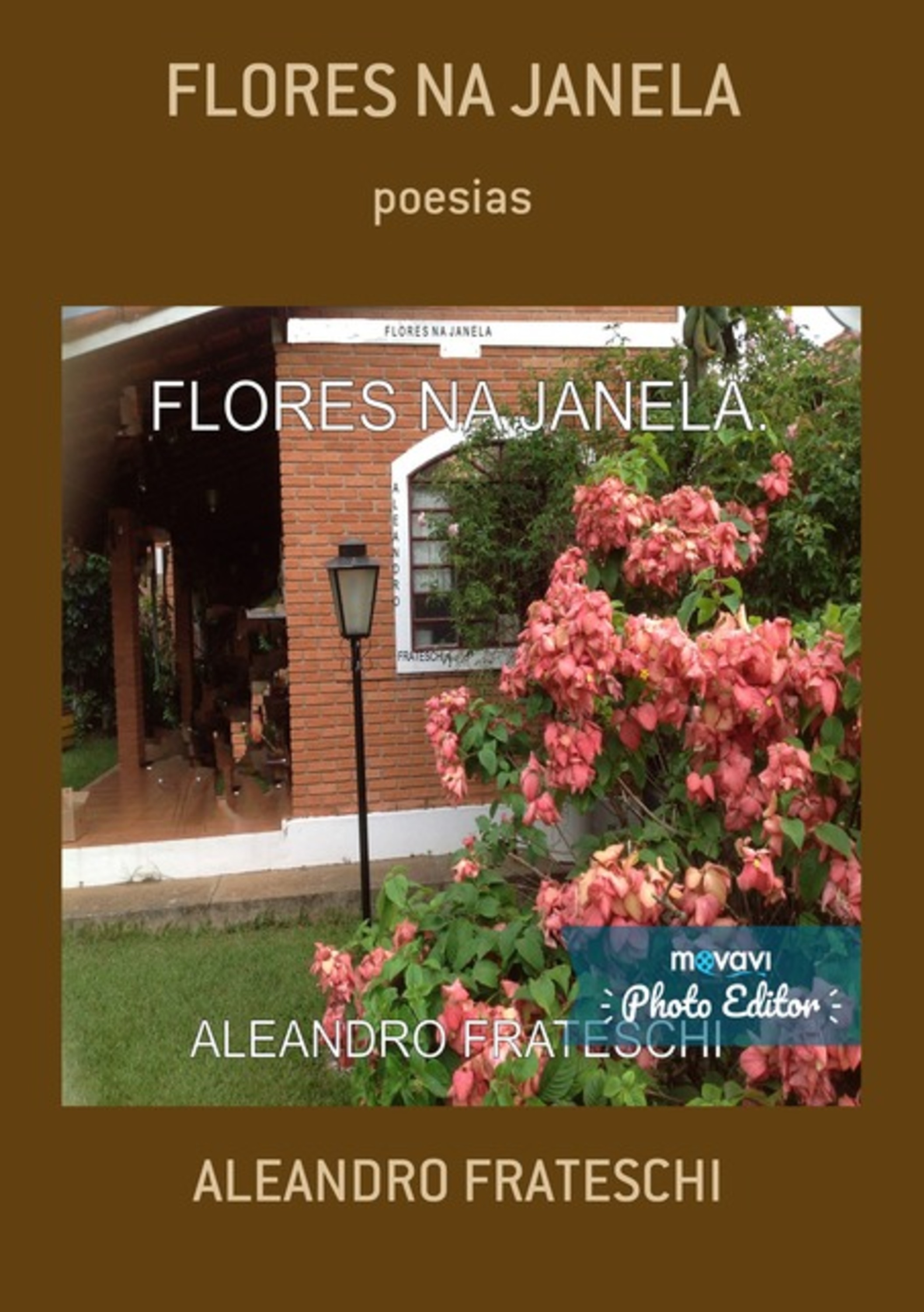 Flores Na Janela