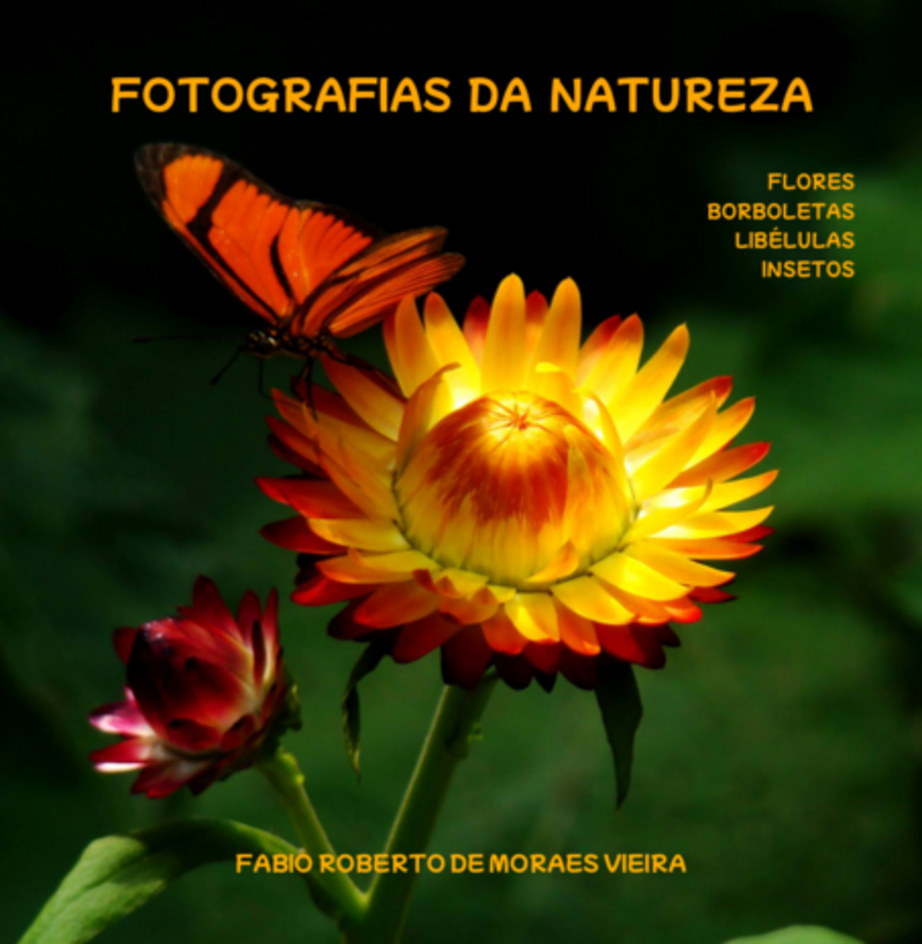 Fotografias Da Natureza - Flores, Borboletas, Libélulas E Insetos.