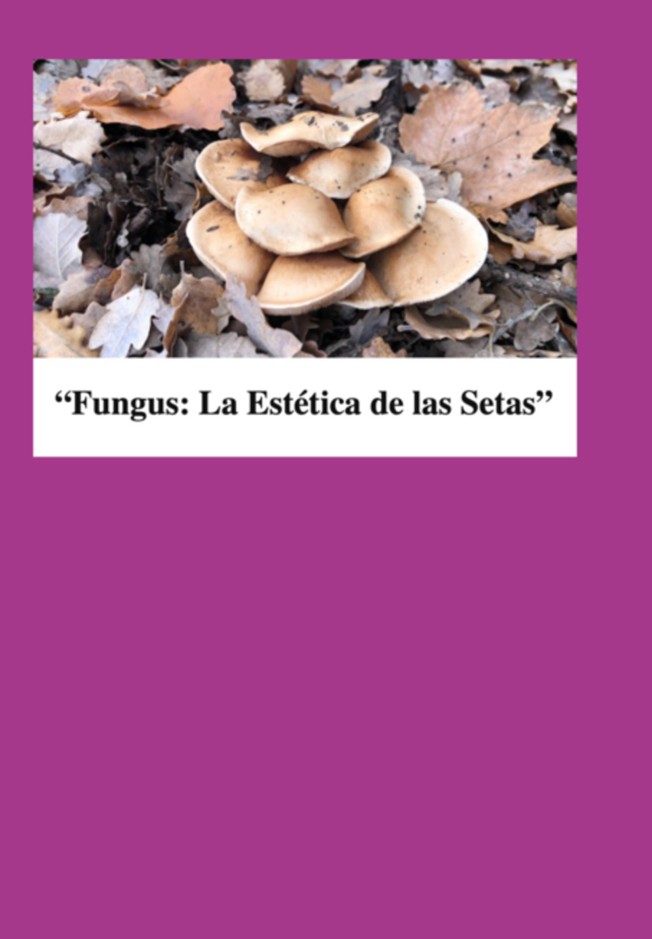 Fungus:la Estetica De Las Setas